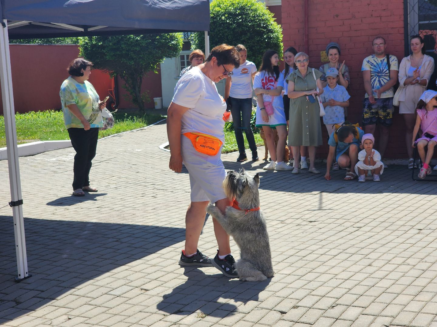 Коломна, день семьи любви и верности, семейный праздник, помощь бездомным животным,