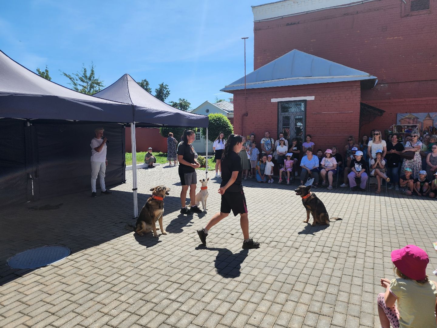 Коломна, день семьи любви и верности, семейный праздник, помощь бездомным животным,