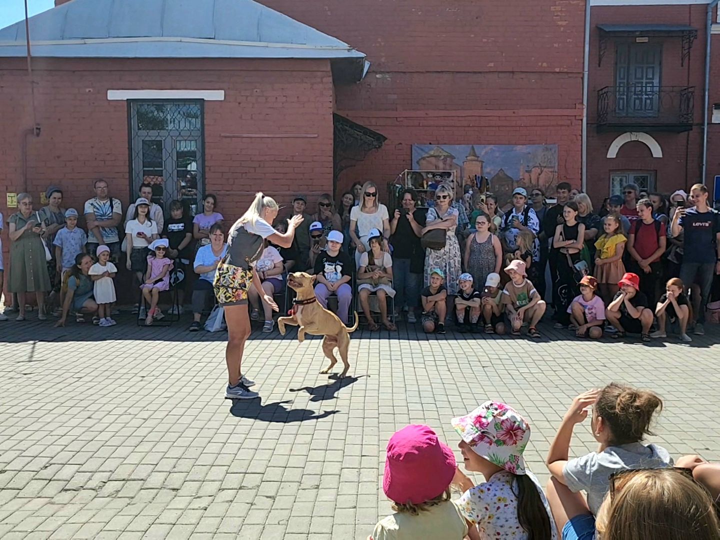 Коломна, день семьи любви и верности, семейный праздник, помощь бездомным животным,