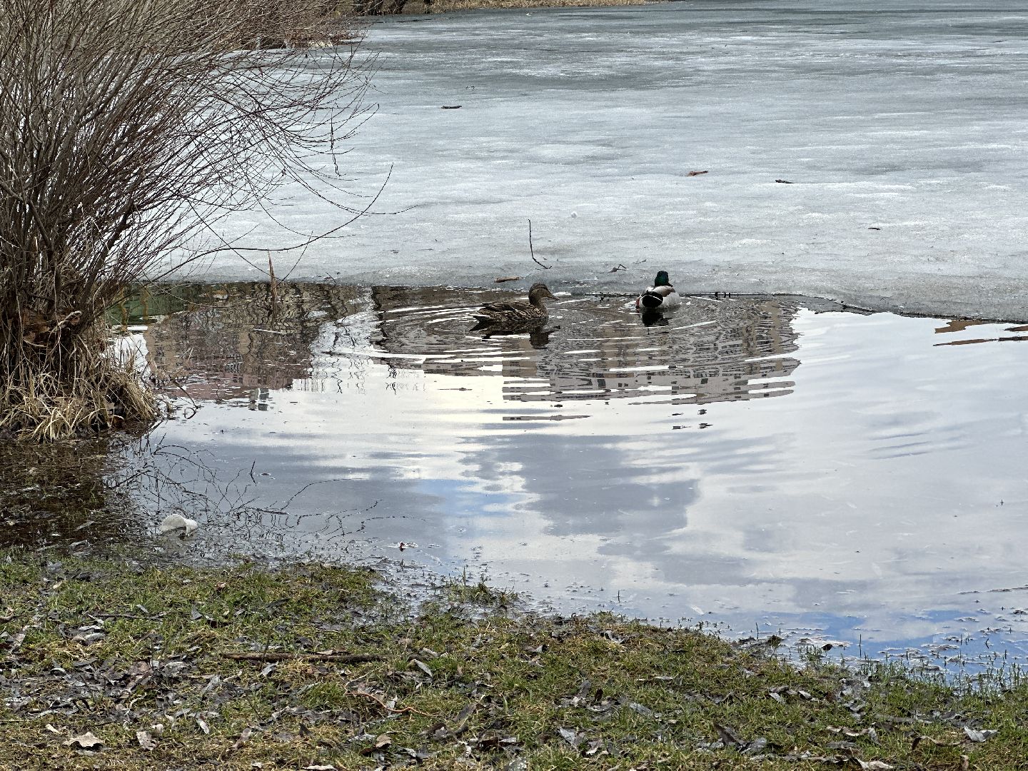 Реутов, благоустройство, огари