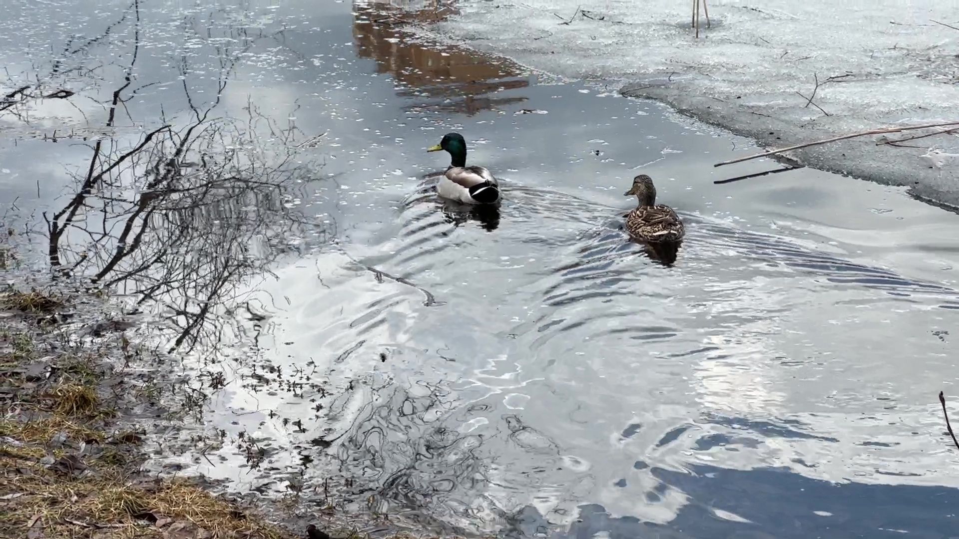 Реутов, благоустройство, огари