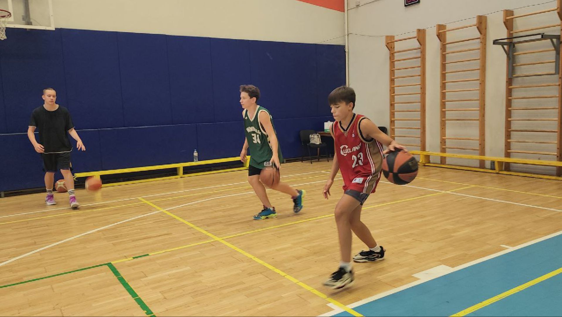 люберцы, баскетбол, чемпионат россии по баскетболу,