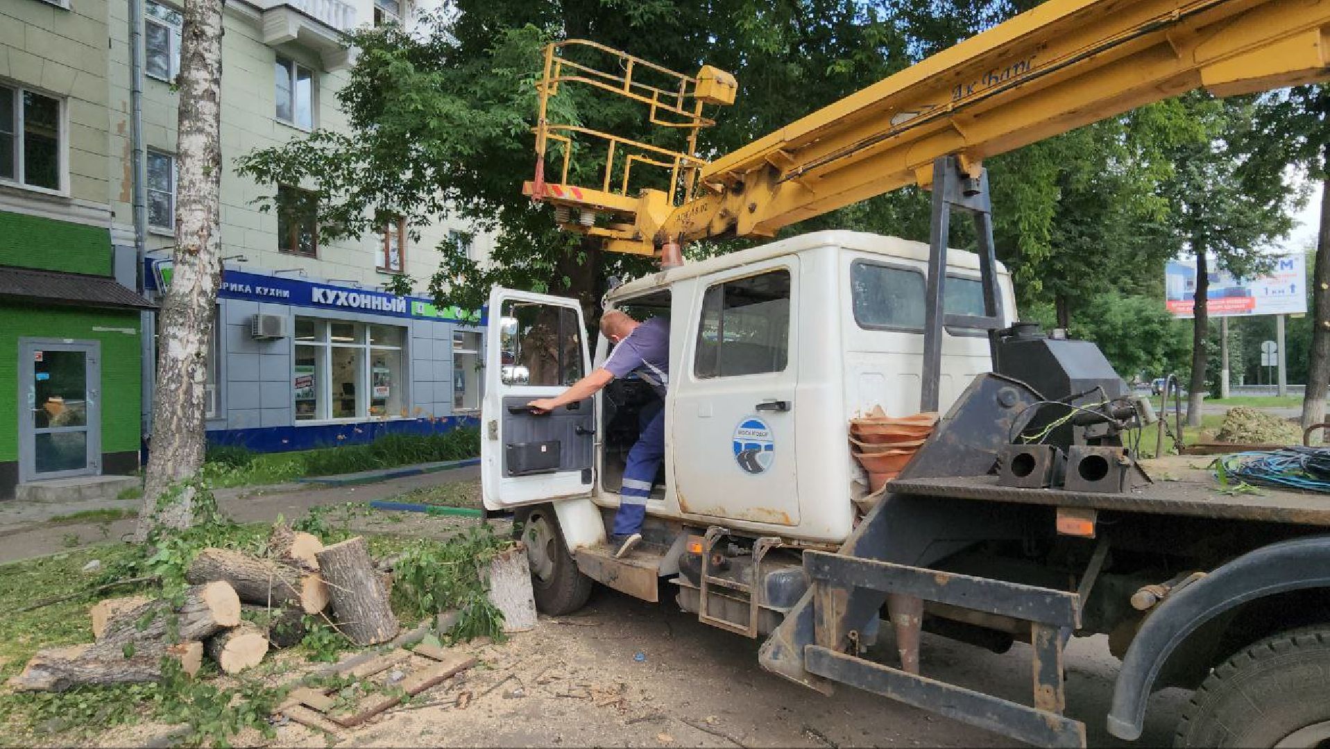 Люберцы, опиловка деревьев, обрезка деревьев,