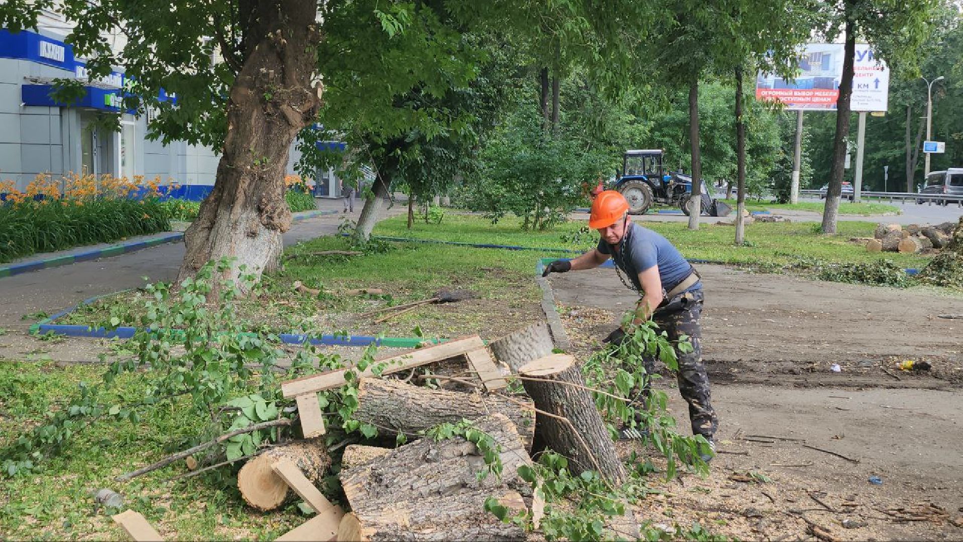 Люберцы, опиловка деревьев, обрезка деревьев,