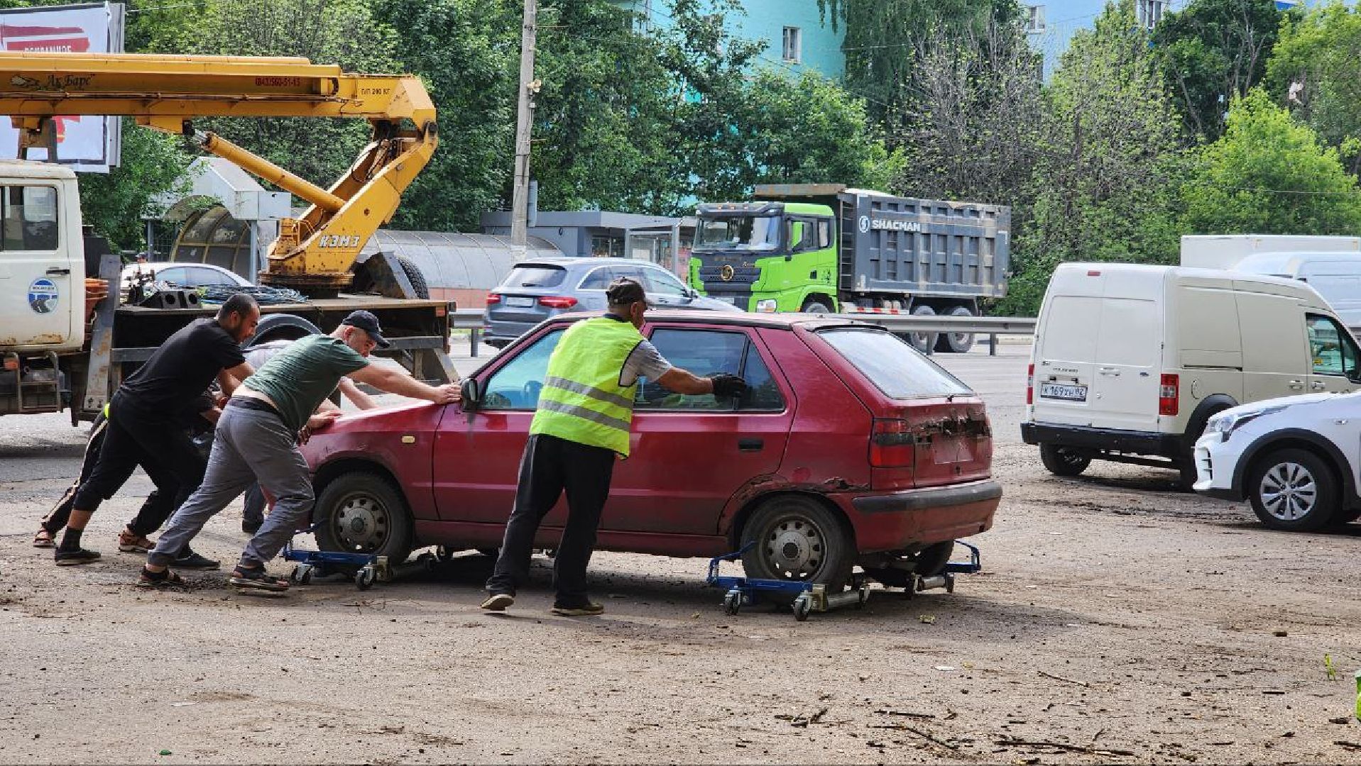 Люберцы, опиловка деревьев, обрезка деревьев,