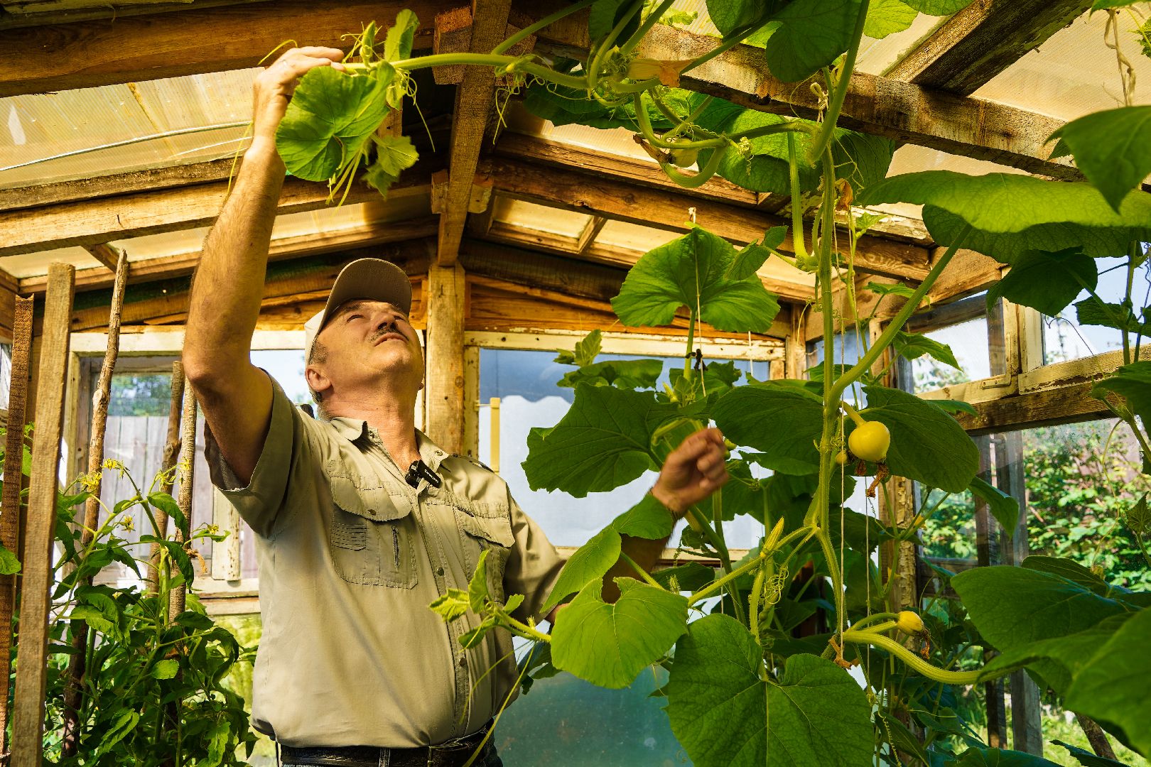 День семьи любви и верности, Семья, Праздник, Большая Шатура,