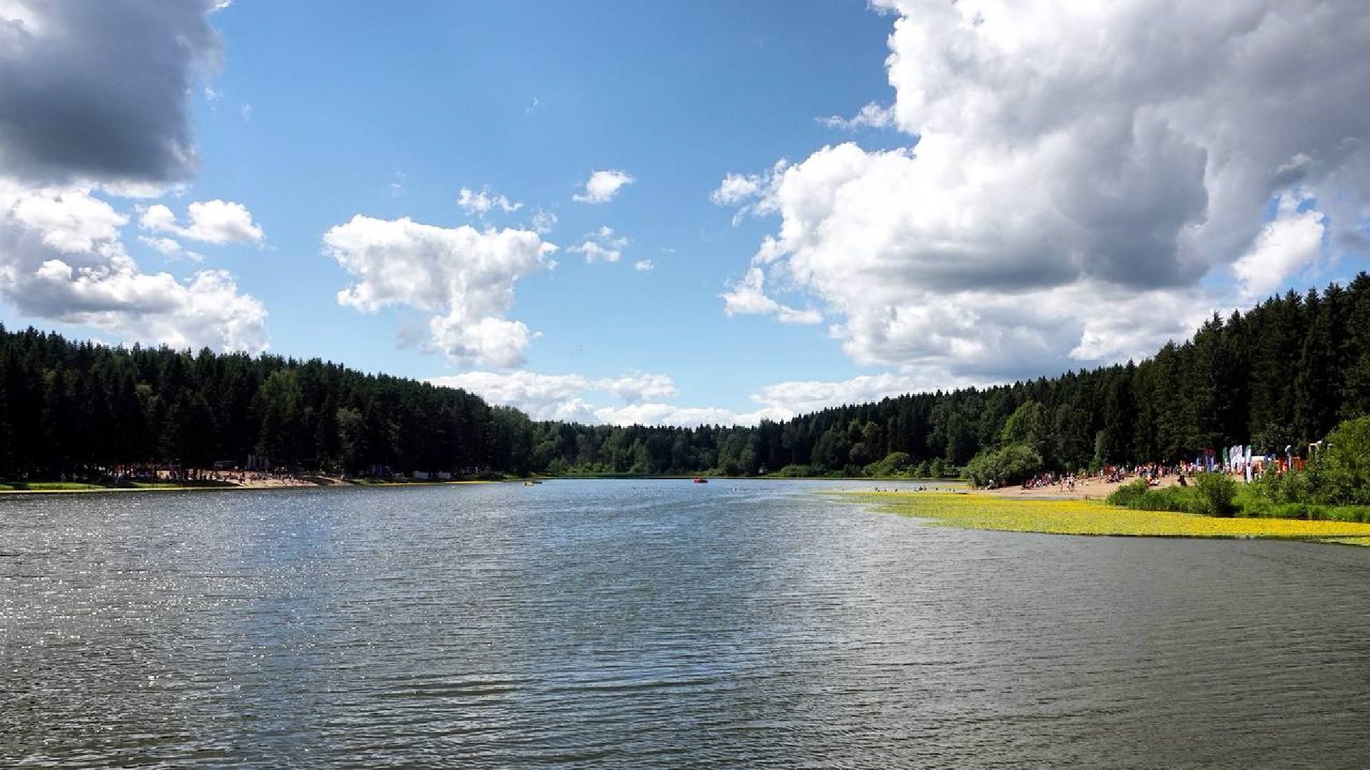 Загорское море,Парки в лесу, Лесопарк, Парки Подмосковья, Благоустройство, Сергиев Посад,