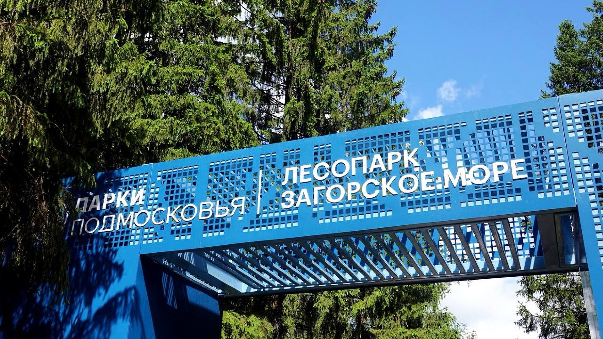 Загорское море,Парки в лесу, Лесопарк, Парки Подмосковья, Благоустройство, Сергиев Посад,