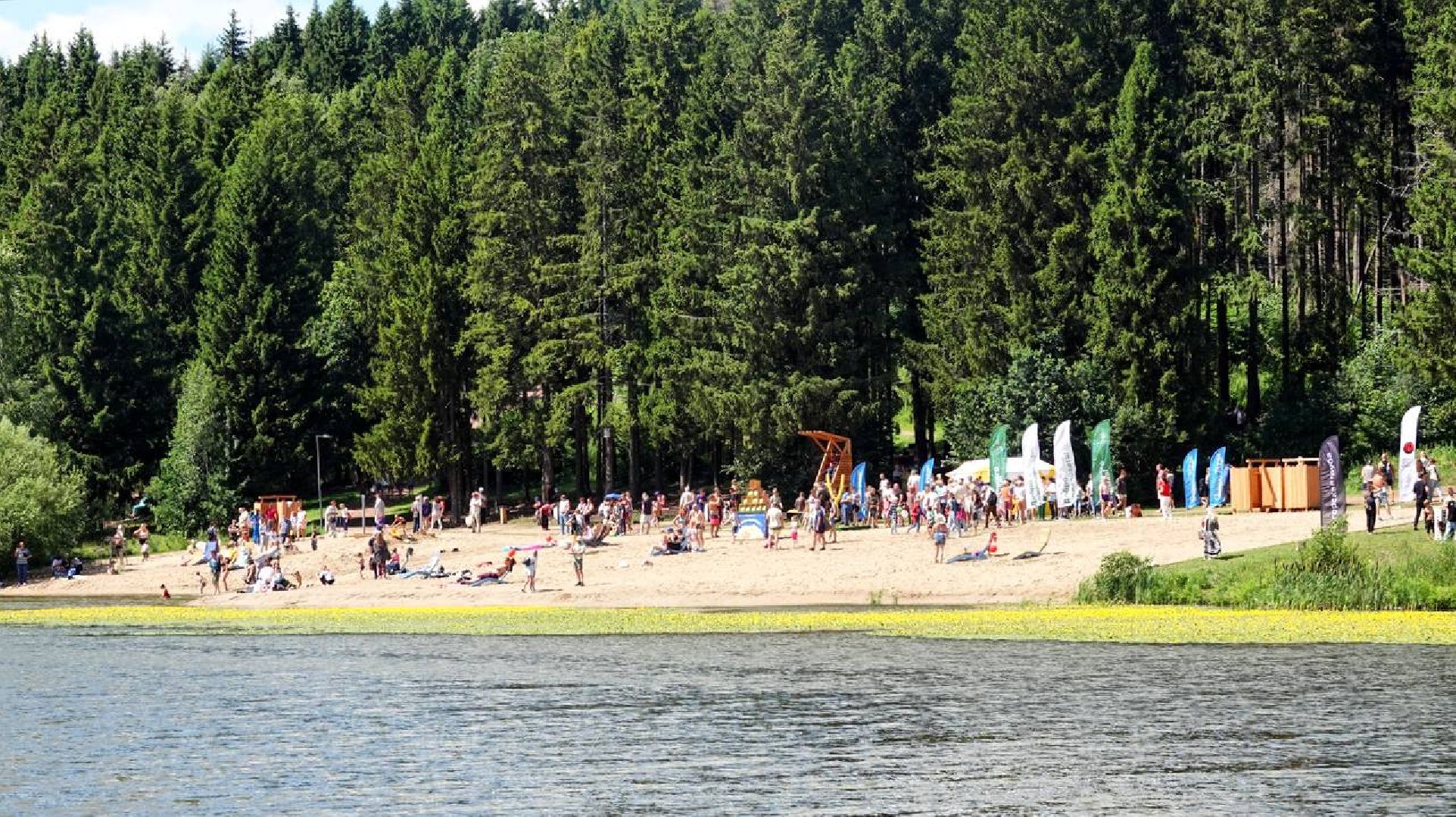 Загорское море,Парки в лесу, Лесопарк, Парки Подмосковья, Благоустройство, Сергиев Посад,