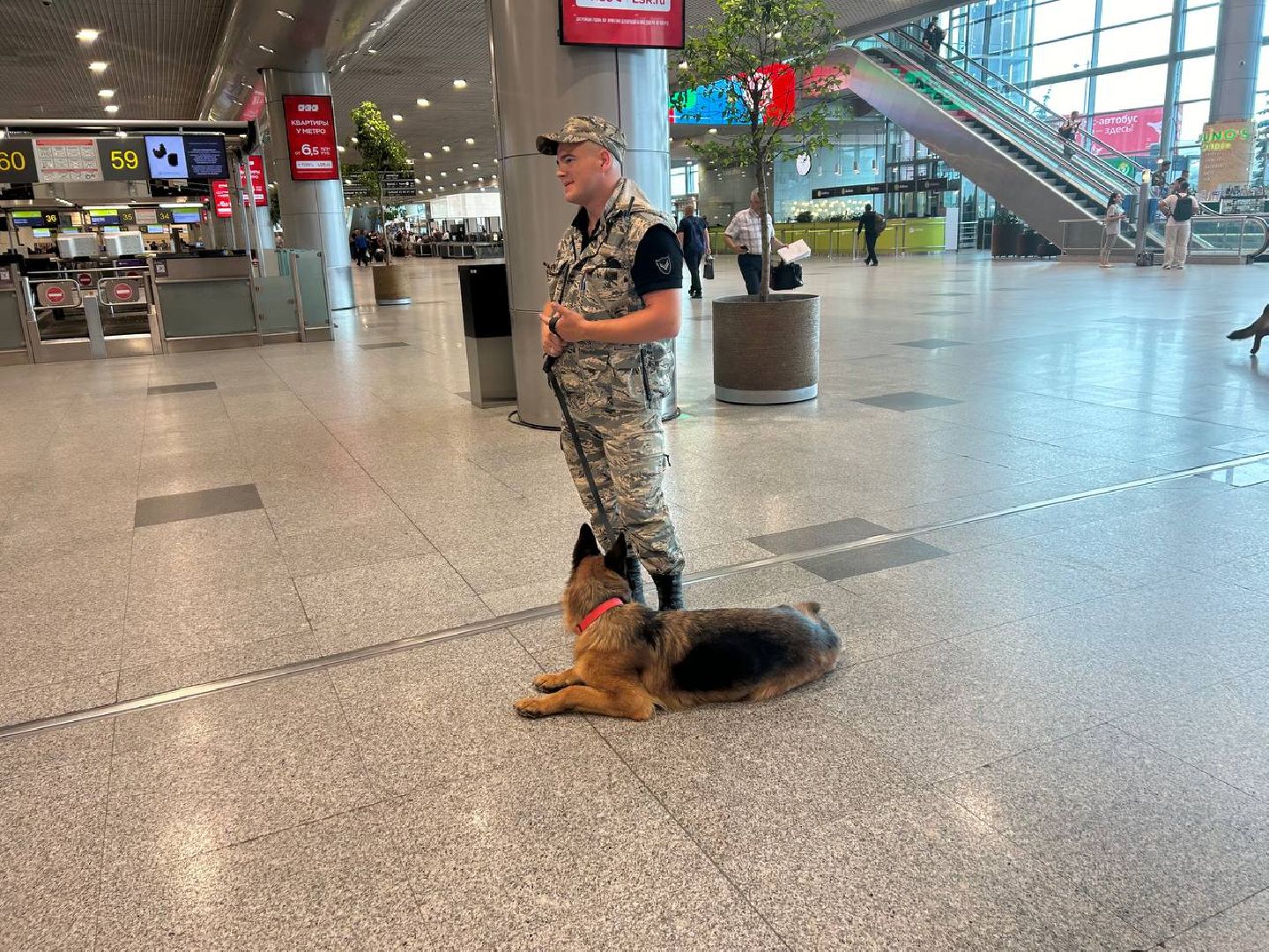 аэропорт Домодедово, медицинский центр, Домодедовская больница,