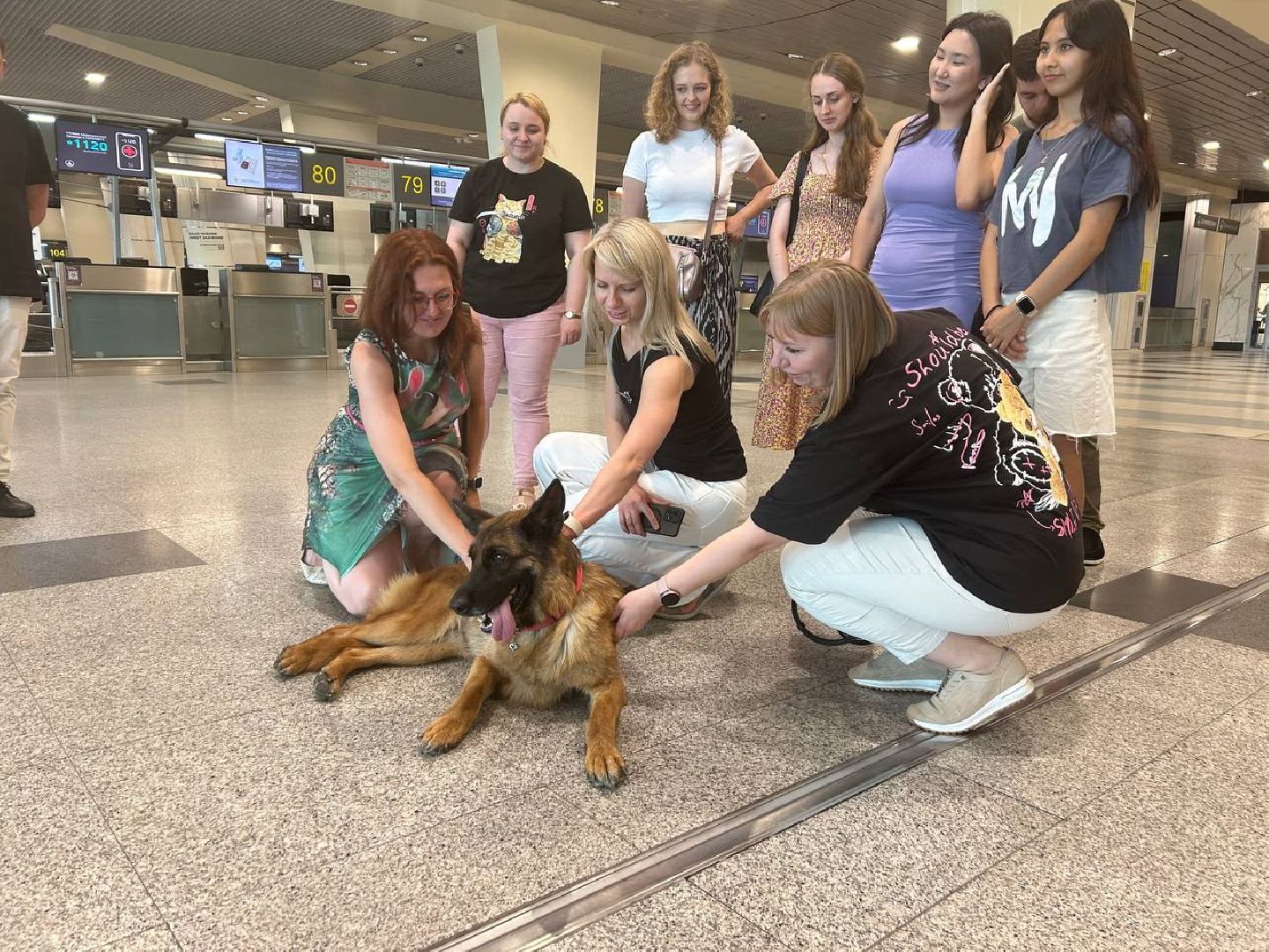 аэропорт Домодедово, медицинский центр, Домодедовская больница,