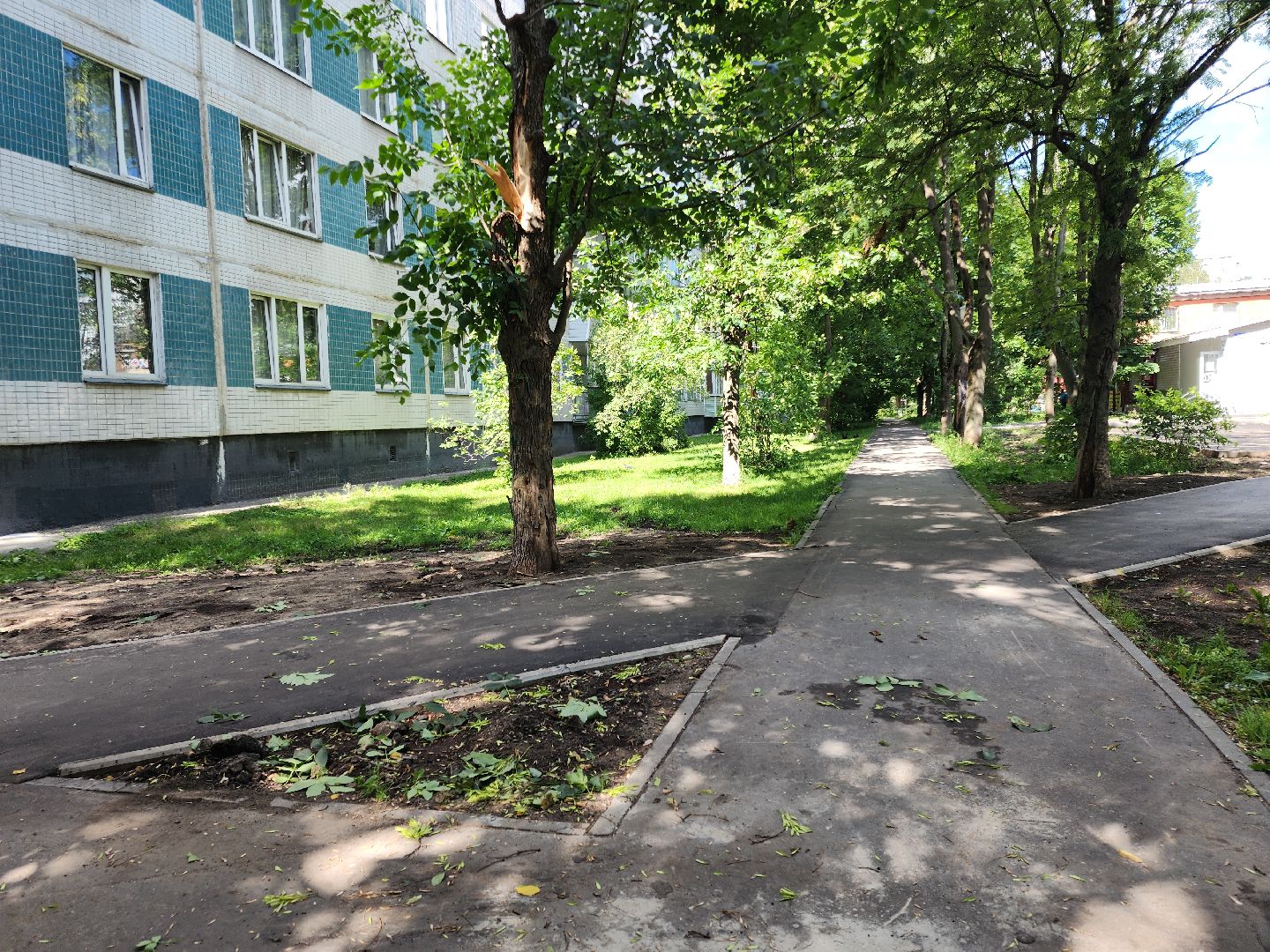 Черноголовка, Жкх, деревья, коммунальщики,