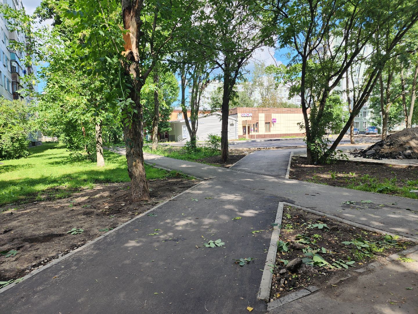 Черноголовка, Жкх, деревья, коммунальщики,