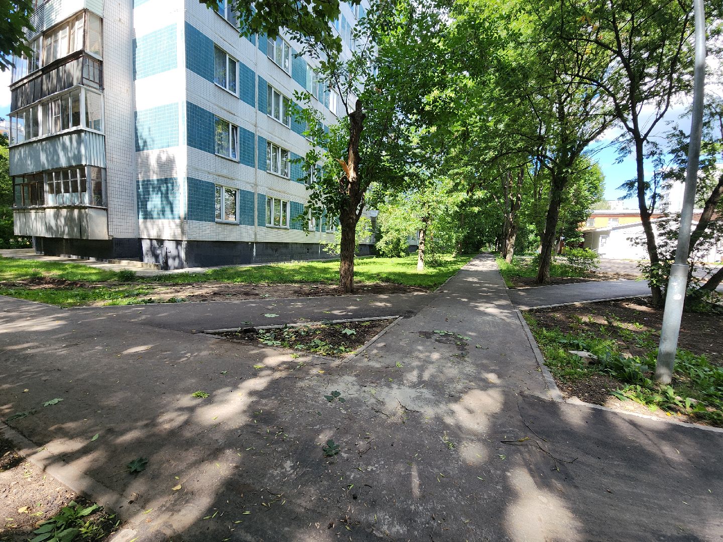 Черноголовка, Жкх, деревья, коммунальщики,