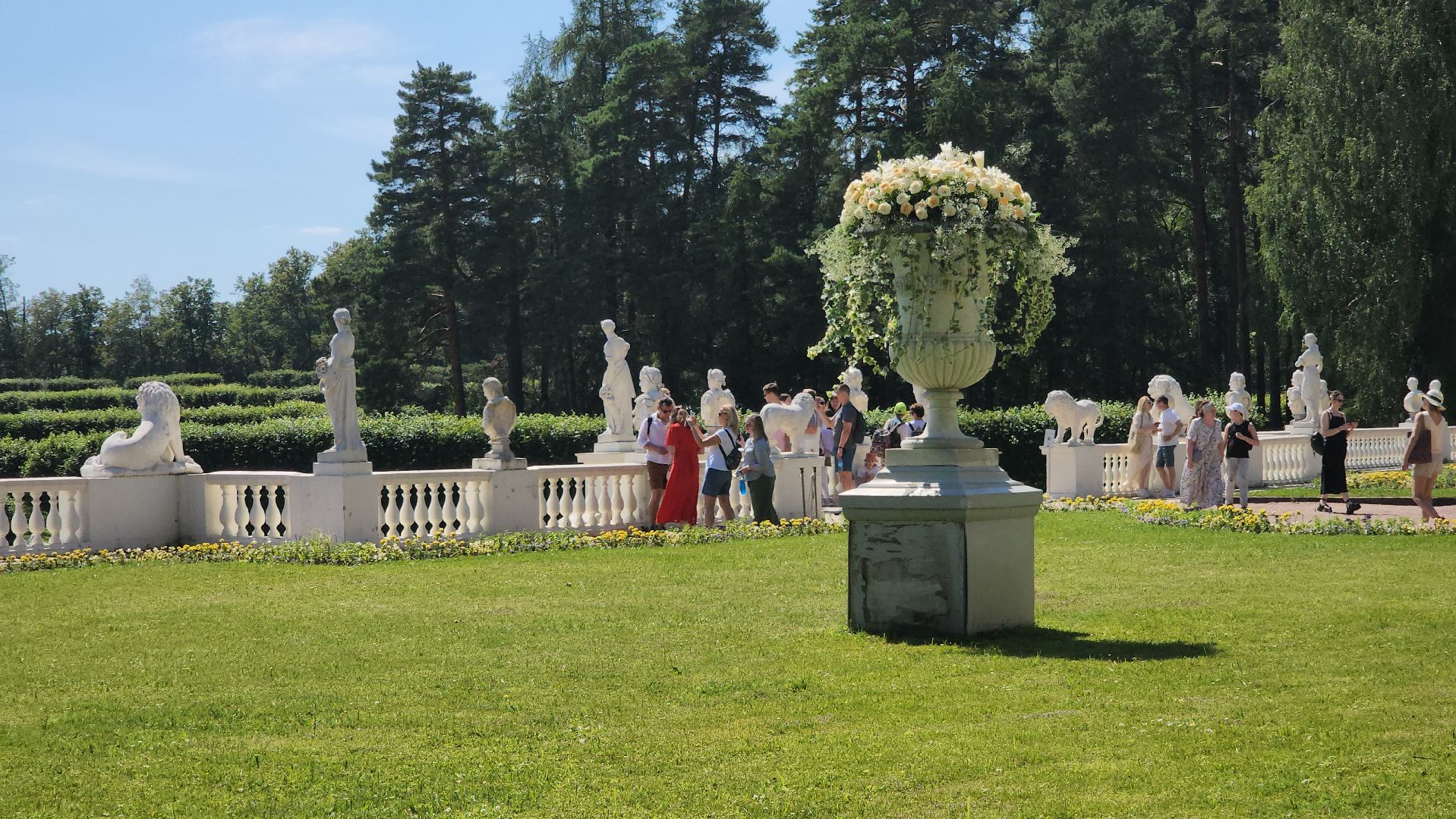 архангельское, красногорск, фестиваль роз,