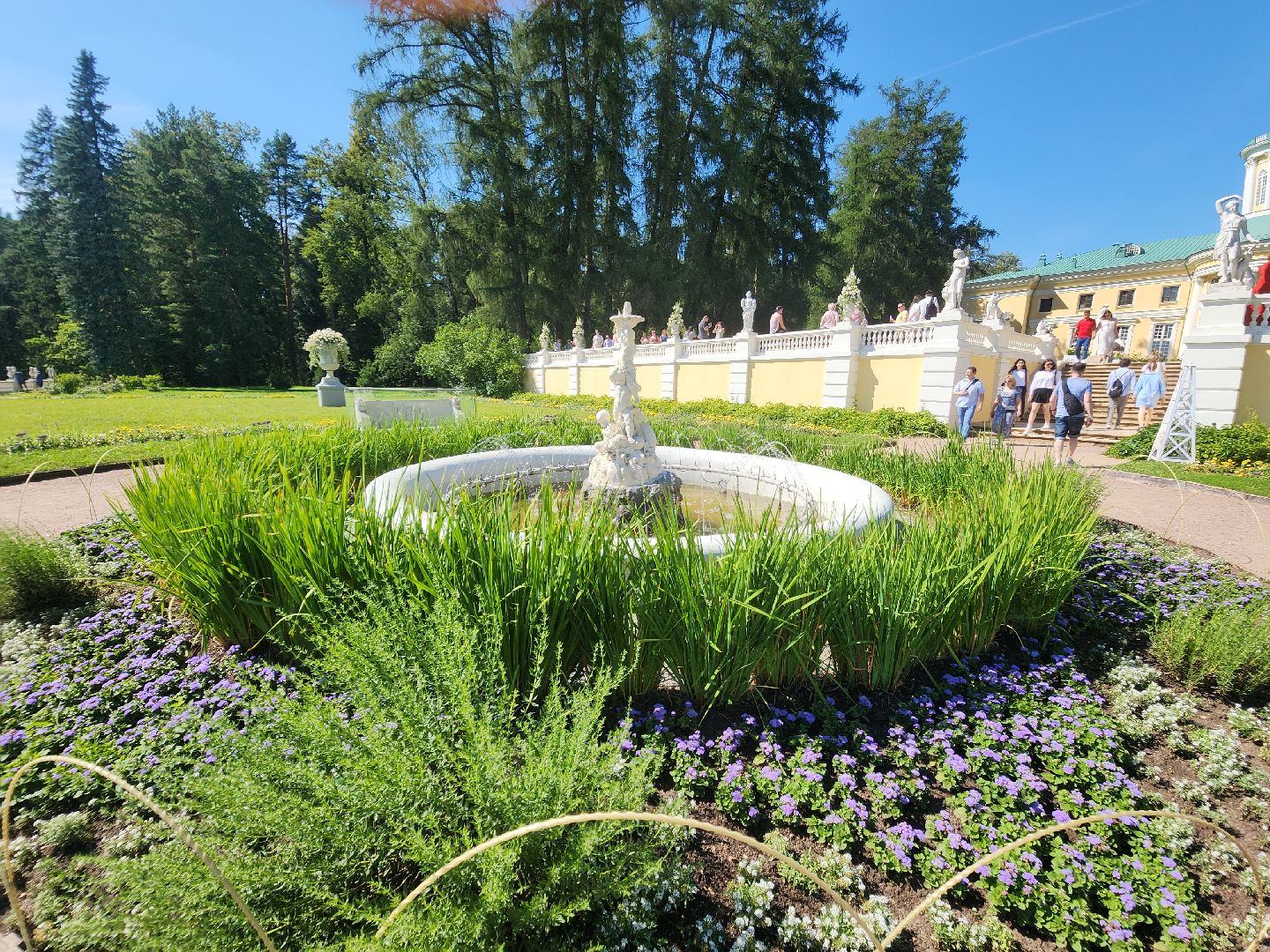 архангельское, красногорск, фестиваль роз,