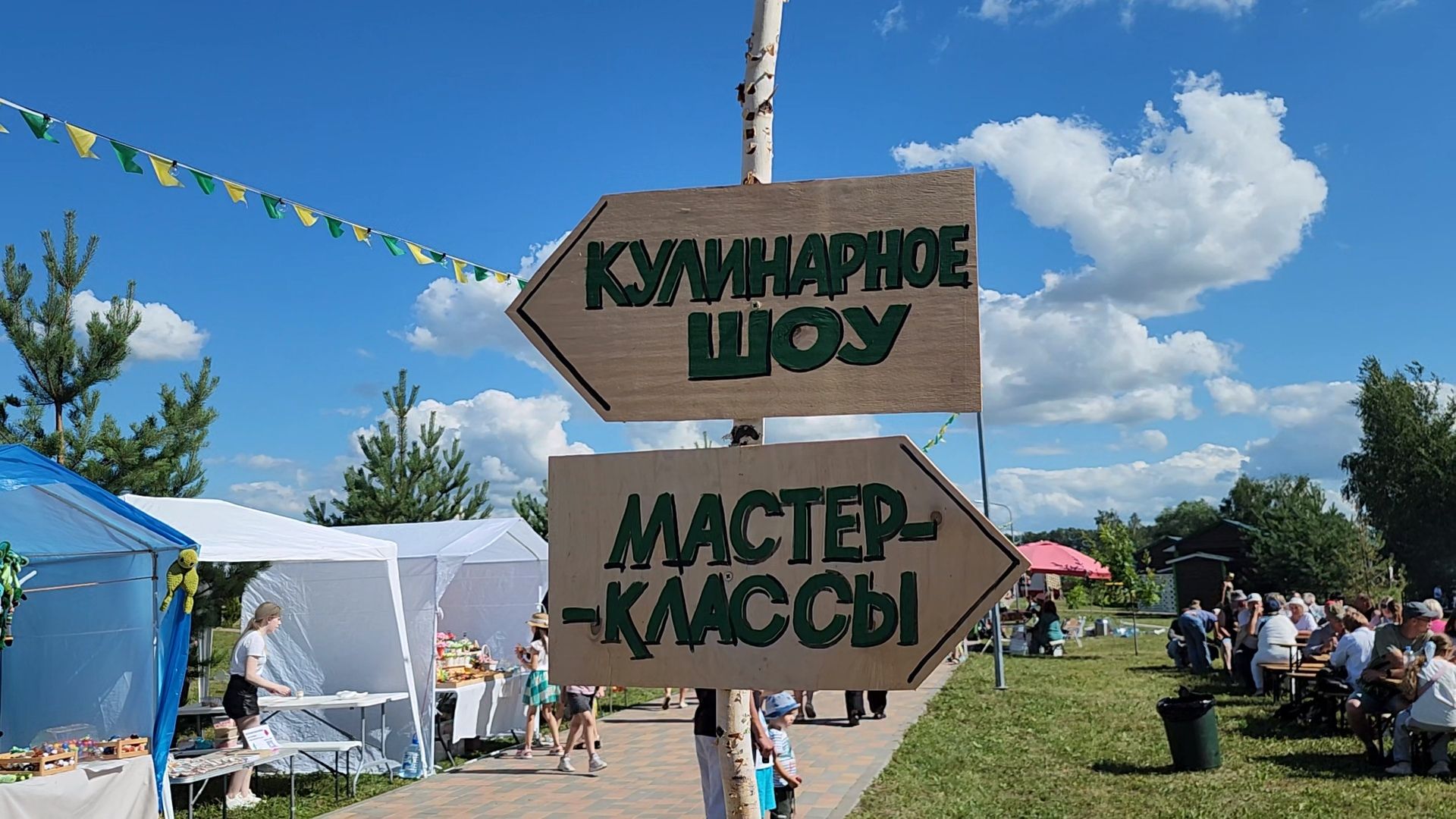 Луховицы, сельское хозяйство, огурец, фермерские продукты,