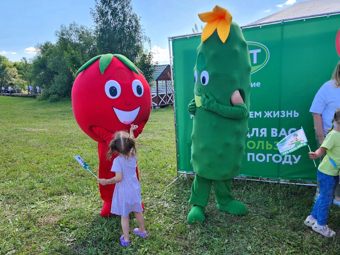 Луховицы, сельское хозяйство, огурец, фермерские продукты,