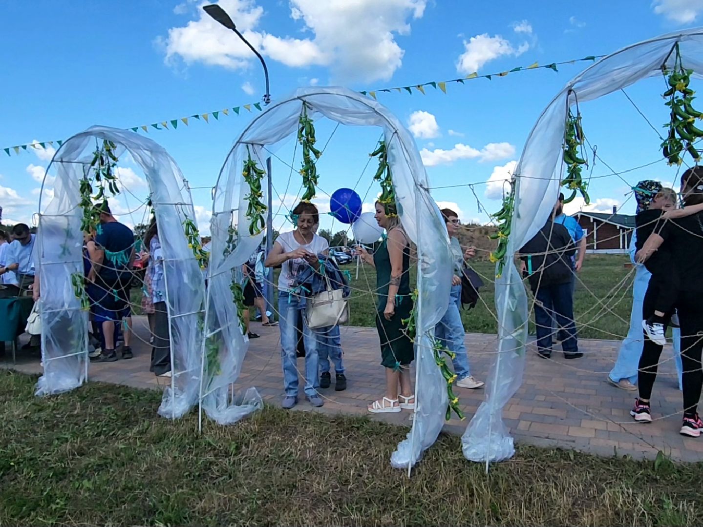 Луховицы, сельское хозяйство, огурец, фермерские продукты,