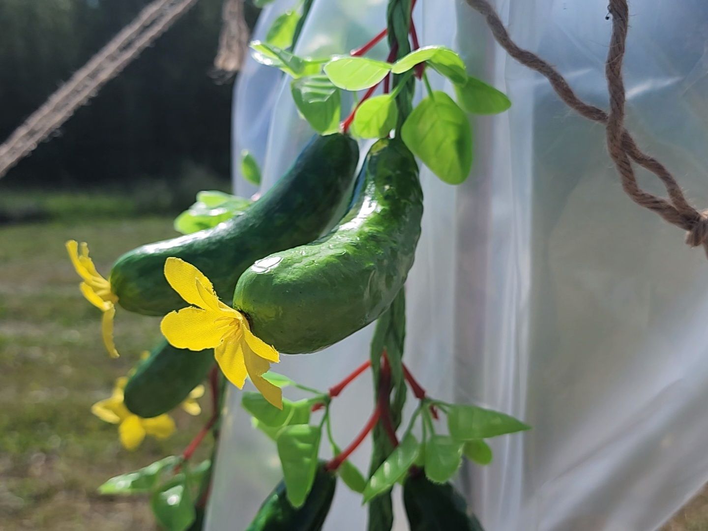 Луховицы, сельское хозяйство, огурец, фермерские продукты,