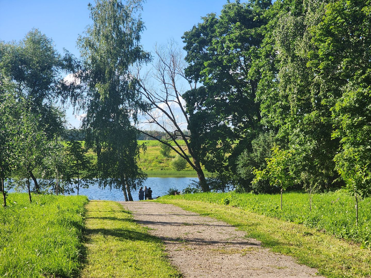 Зарайск, культура, фестиваль,
