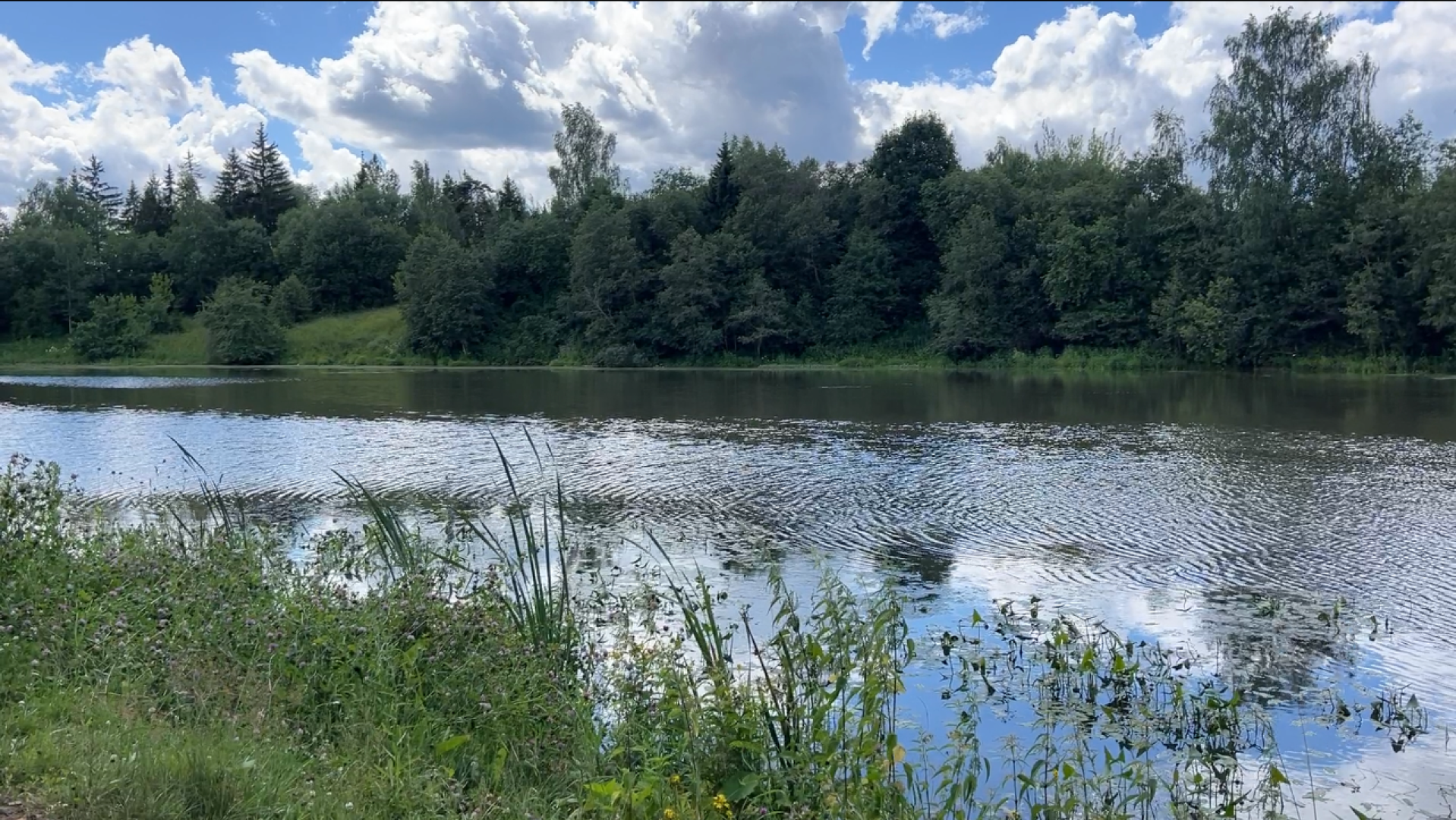 химки, благоустройство, пруд, экология, день семьи любви и верности,