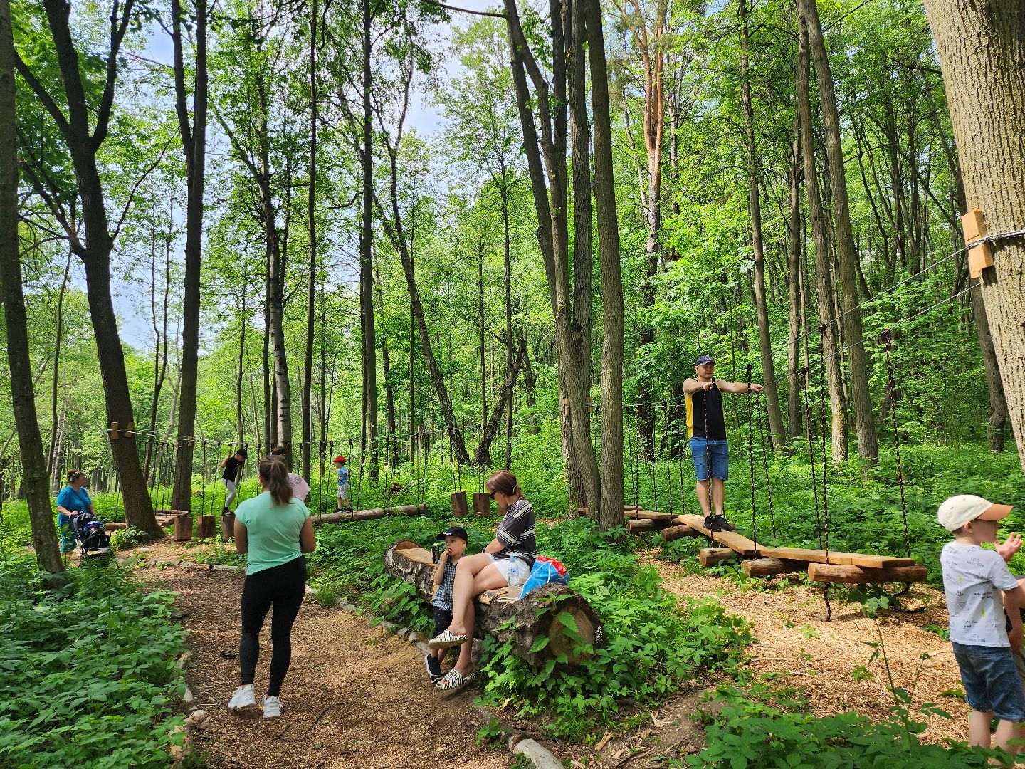 серпухов, подмосковье, бунин ручей, сапборд, зоопарк, альпака, страус, лошадь, корова, туризм в подмосковье, экоферма,