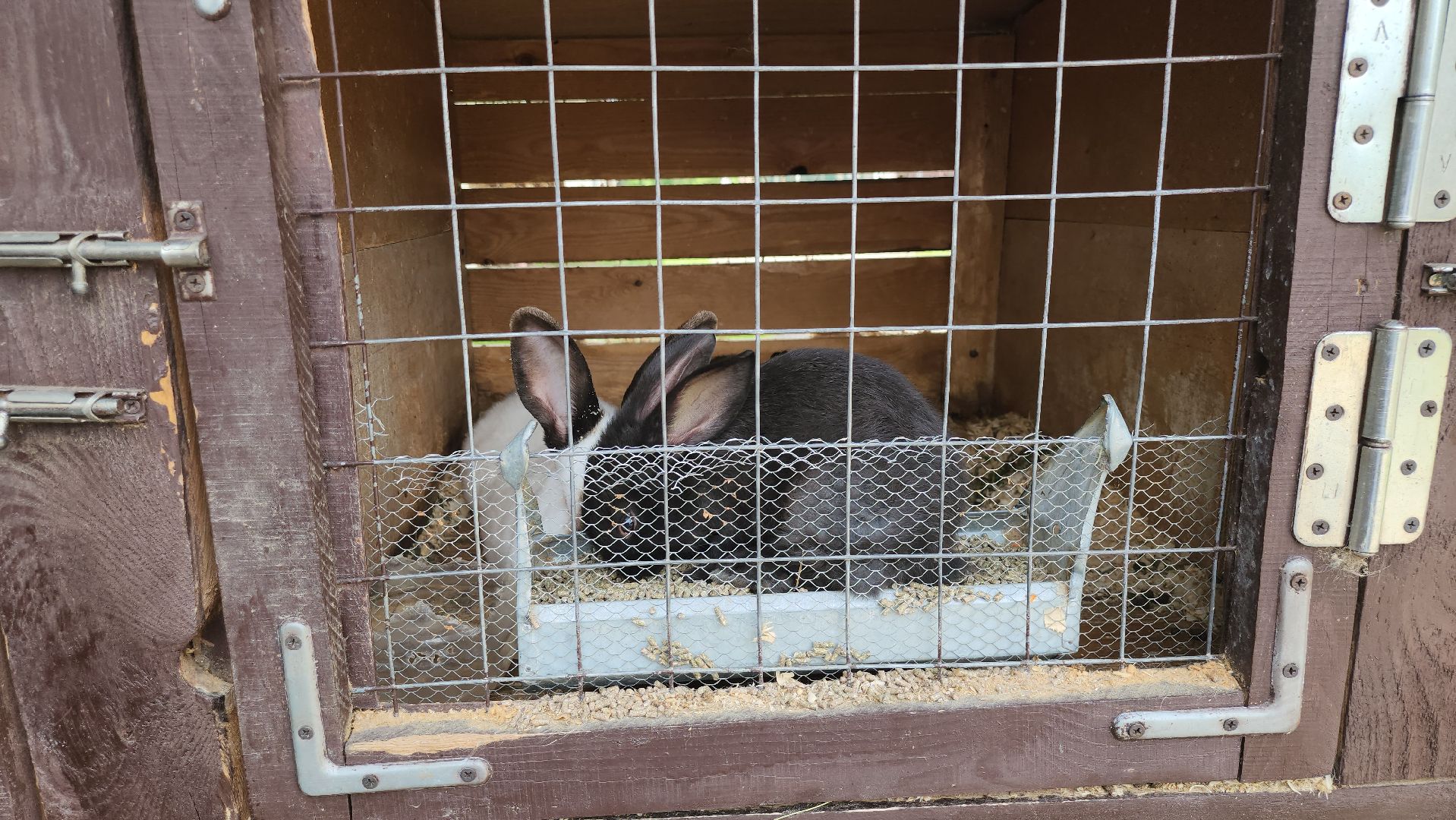 серпухов, подмосковье, бунин ручей, сапборд, зоопарк, альпака, страус, лошадь, корова, туризм в подмосковье, экоферма,