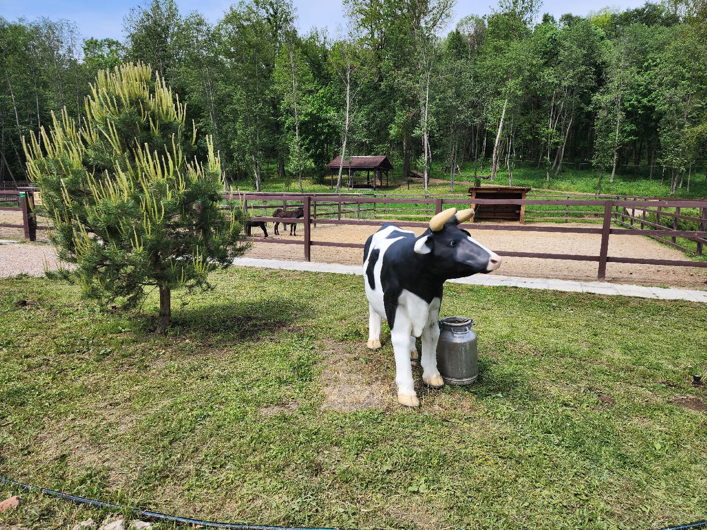 серпухов, подмосковье, бунин ручей, сапборд, зоопарк, альпака, страус, лошадь, корова, туризм в подмосковье, экоферма,