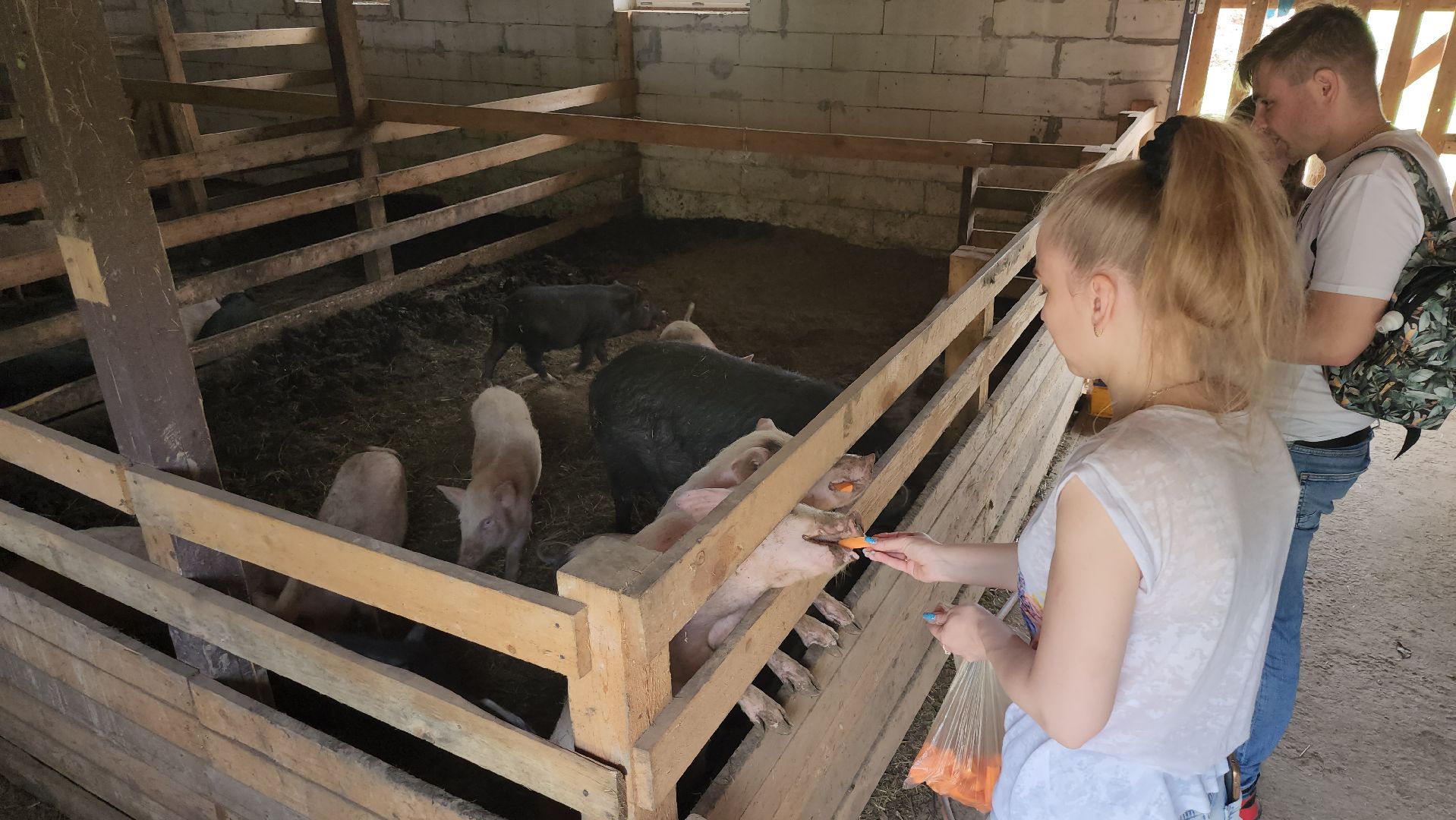 серпухов, подмосковье, бунин ручей, сапборд, зоопарк, альпака, страус, лошадь, корова, туризм в подмосковье, экоферма,