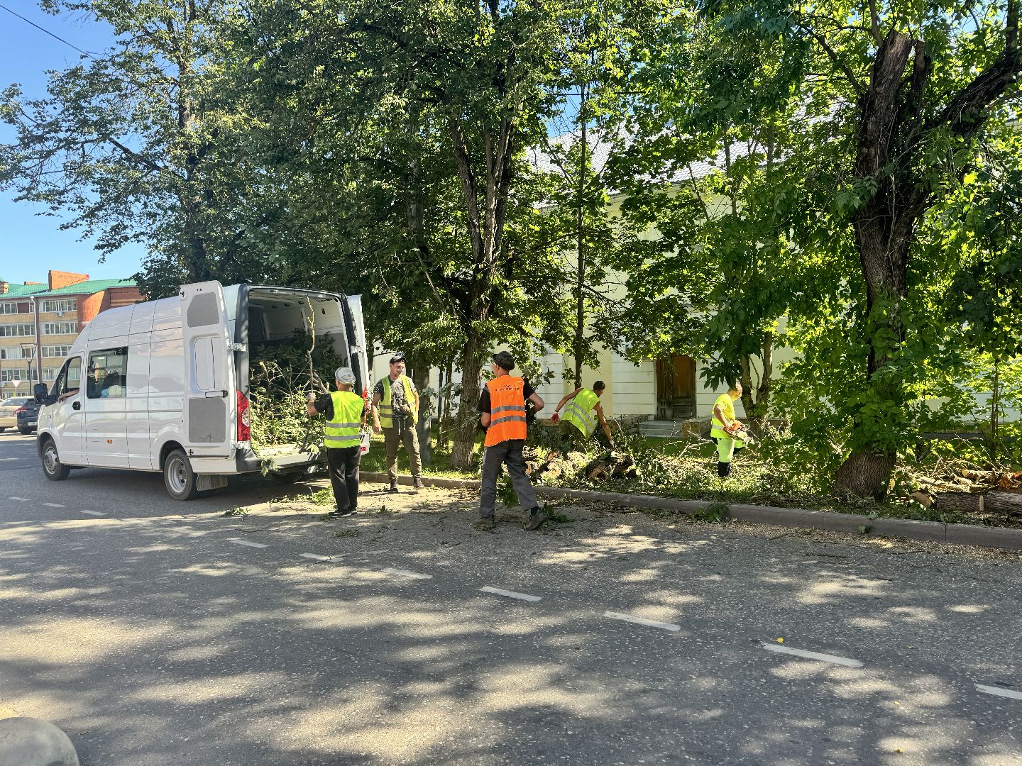 шаховская, дерево, упавшие деревья,коммунальная служба,