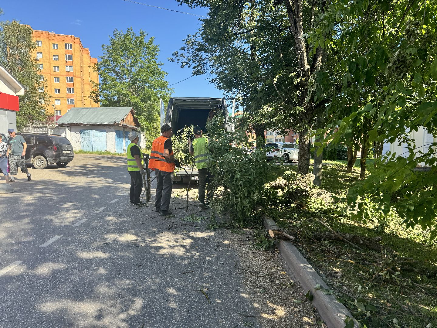 шаховская, дерево, упавшие деревья,коммунальная служба,