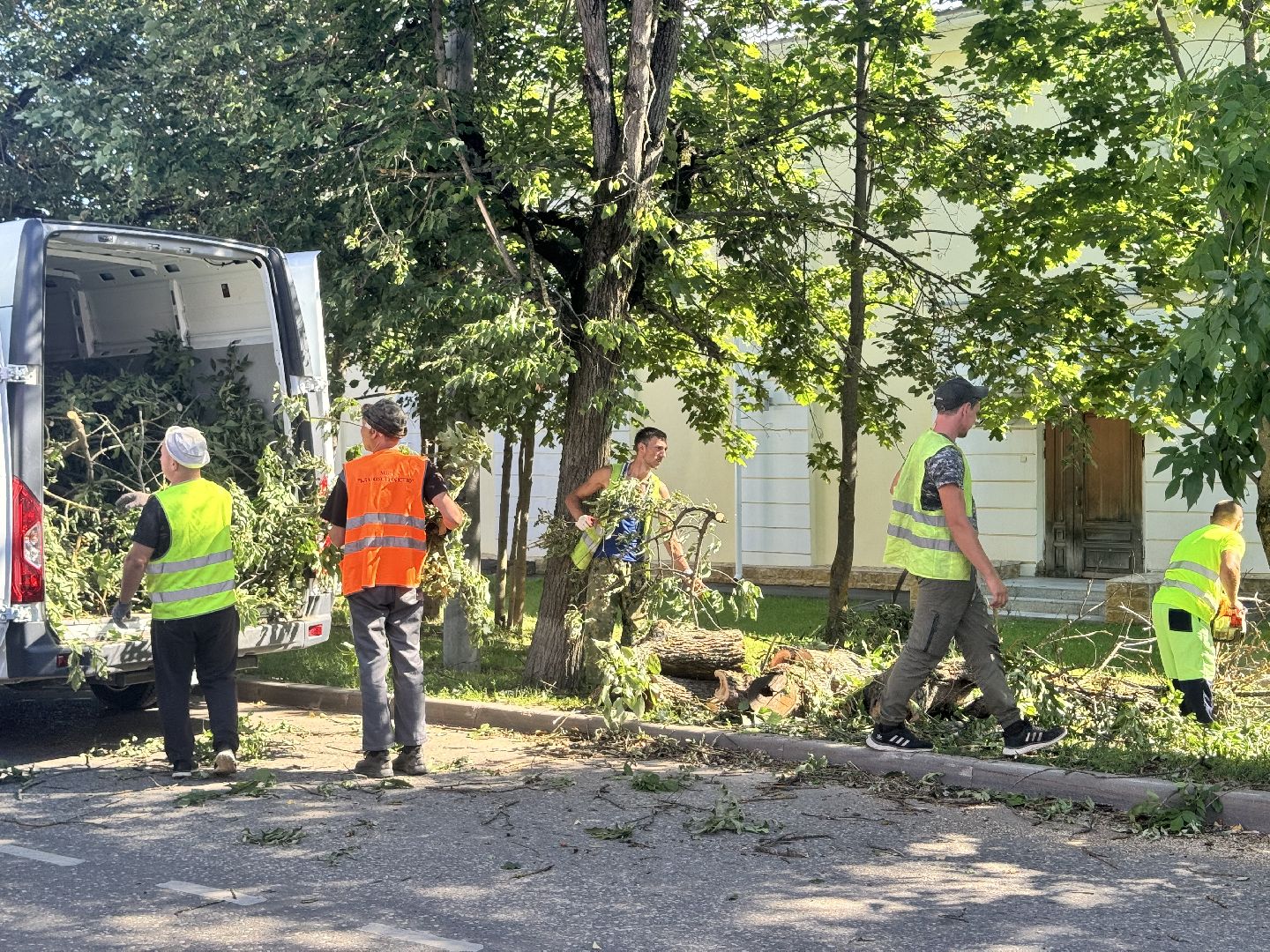 шаховская, дерево, упавшие деревья,коммунальная служба,