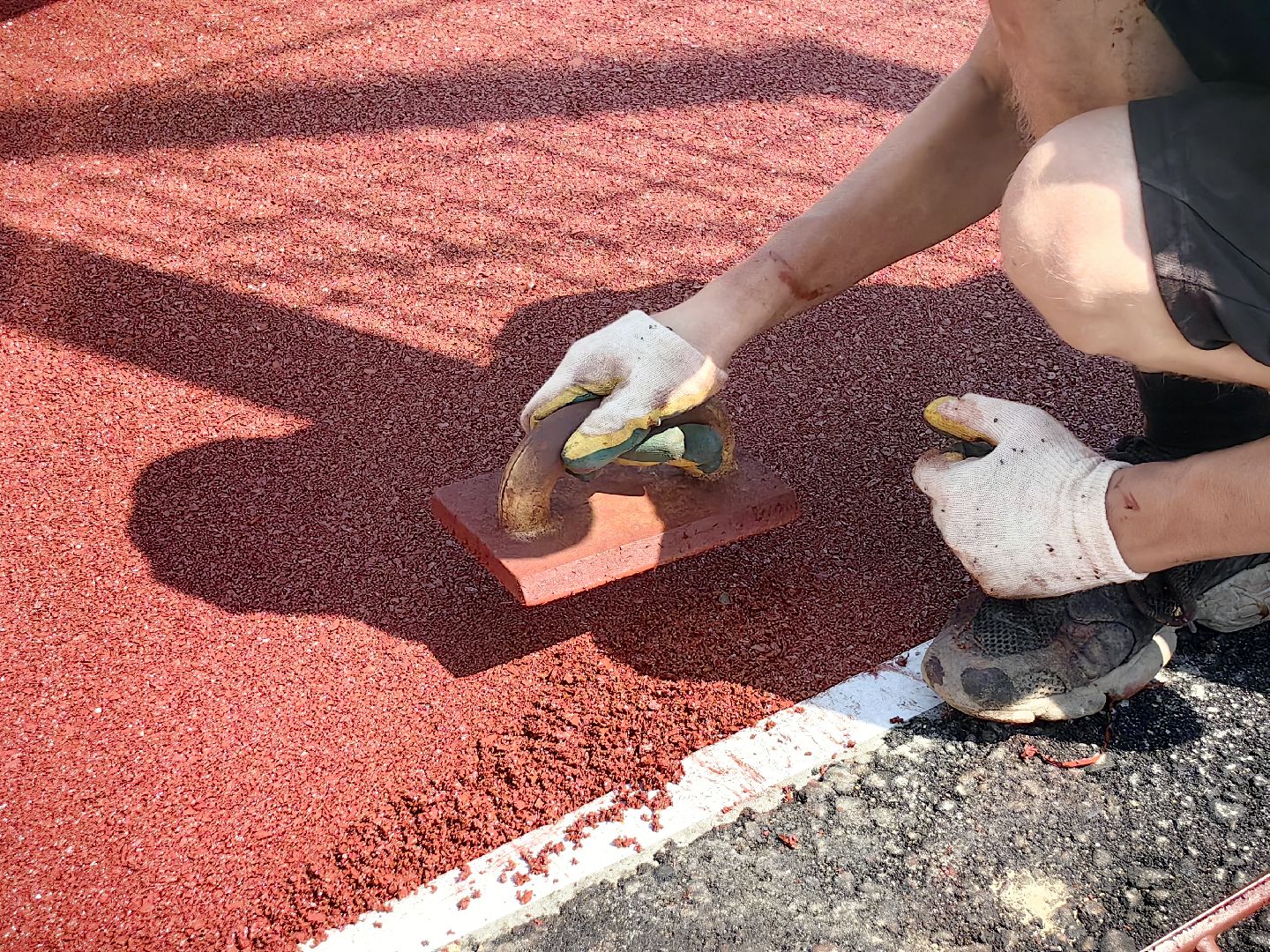 школа, строительство, образование, благоустойство, озеленение, спортивное ядро, щёлково,