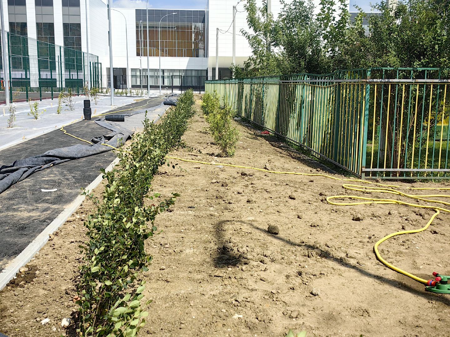 школа, строительство, образование, благоустойство, озеленение, спортивное ядро, щёлково,