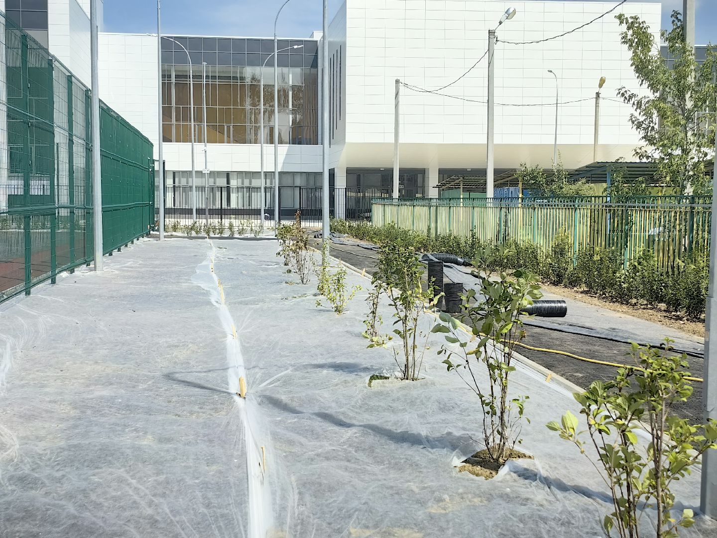 школа, строительство, образование, благоустойство, озеленение, спортивное ядро, щёлково,