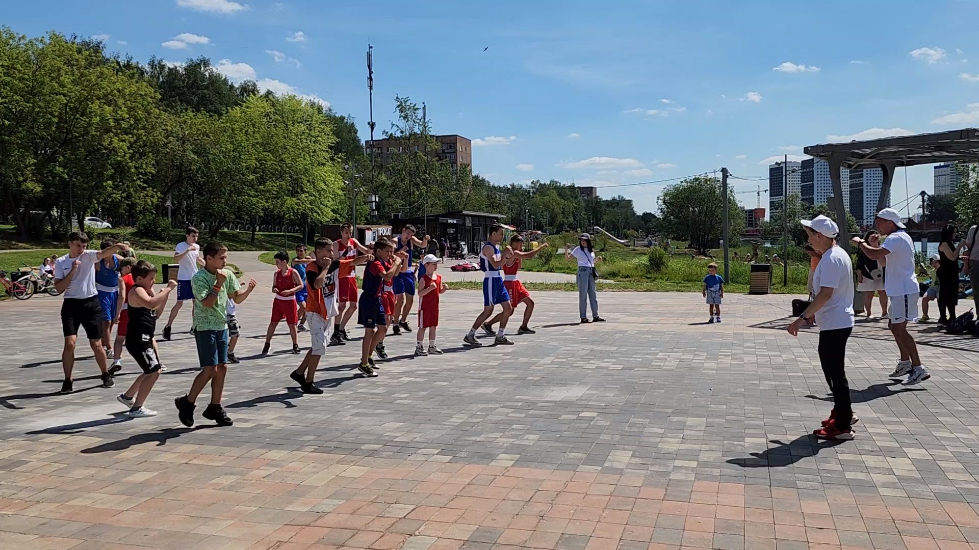 пушкино,