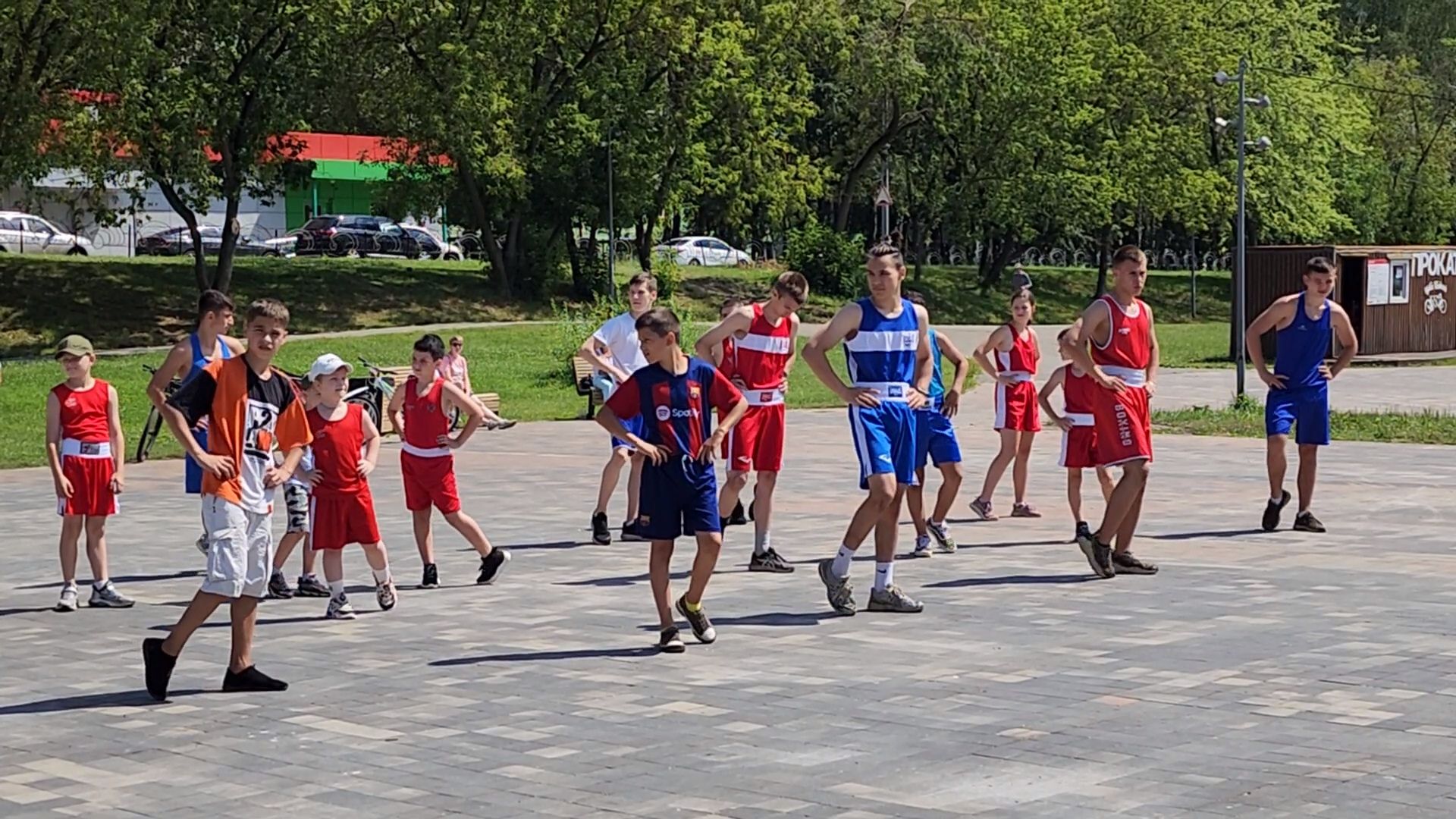 пушкино,