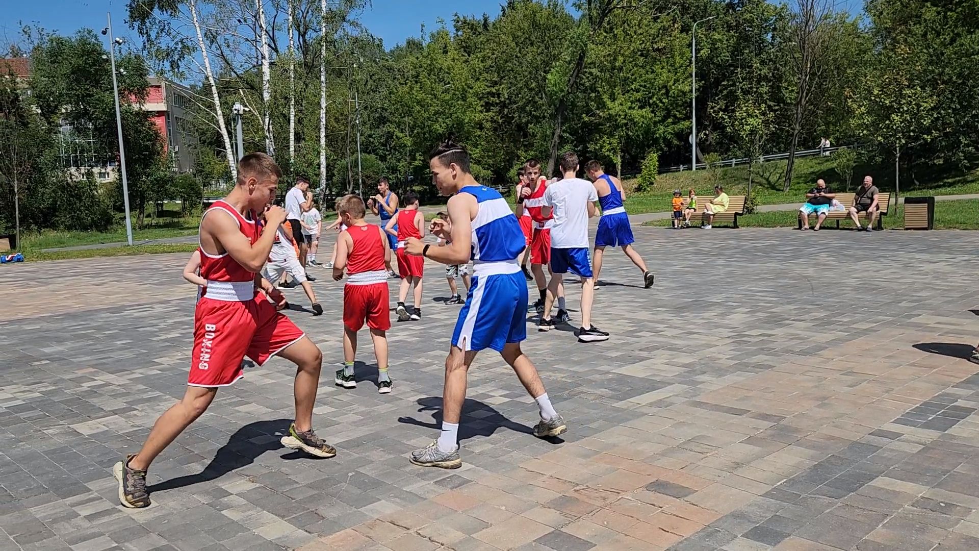 пушкино,