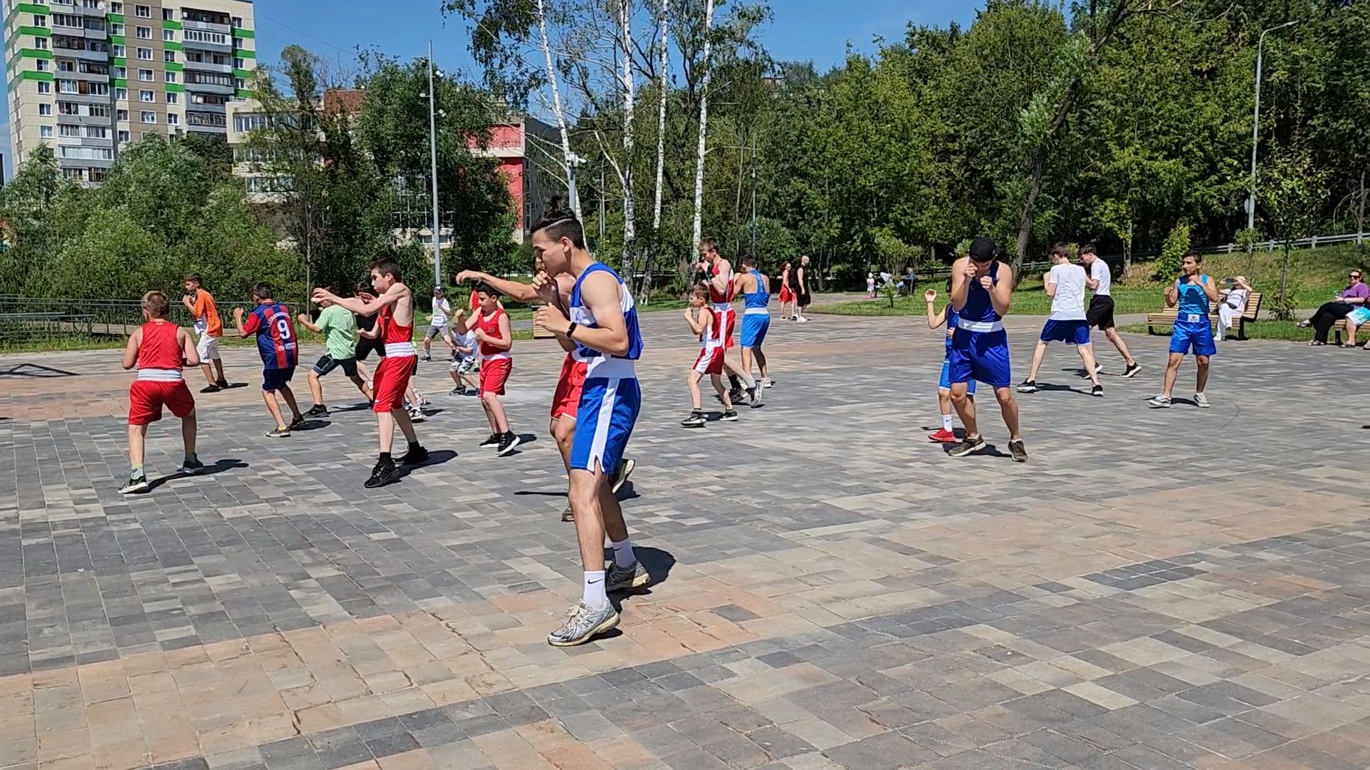 пушкино,