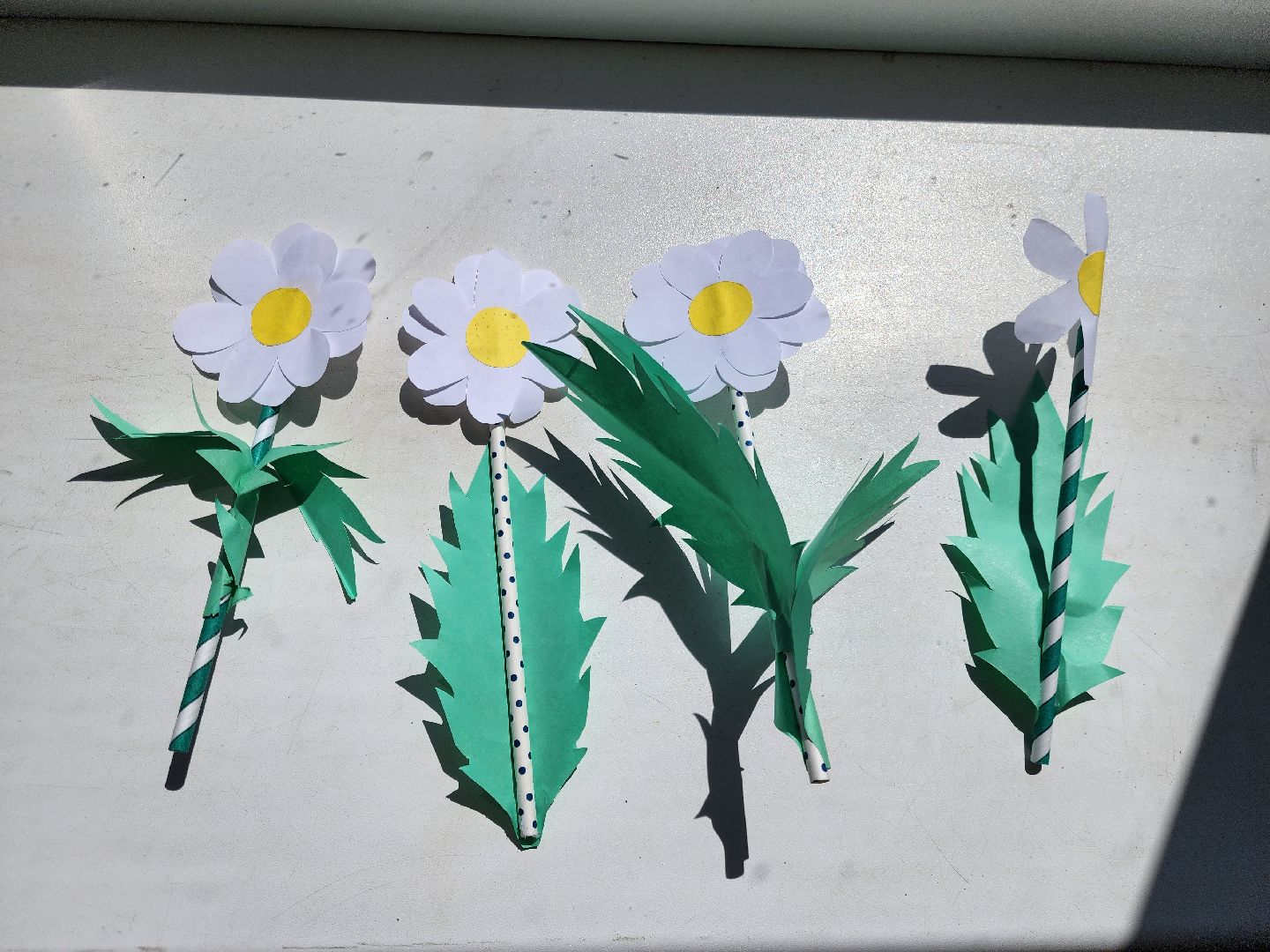 ногинск, сдк молзино, общество, дети, жители, лагерь, культурные каникулы, летний лагерь, богородский городский округ,