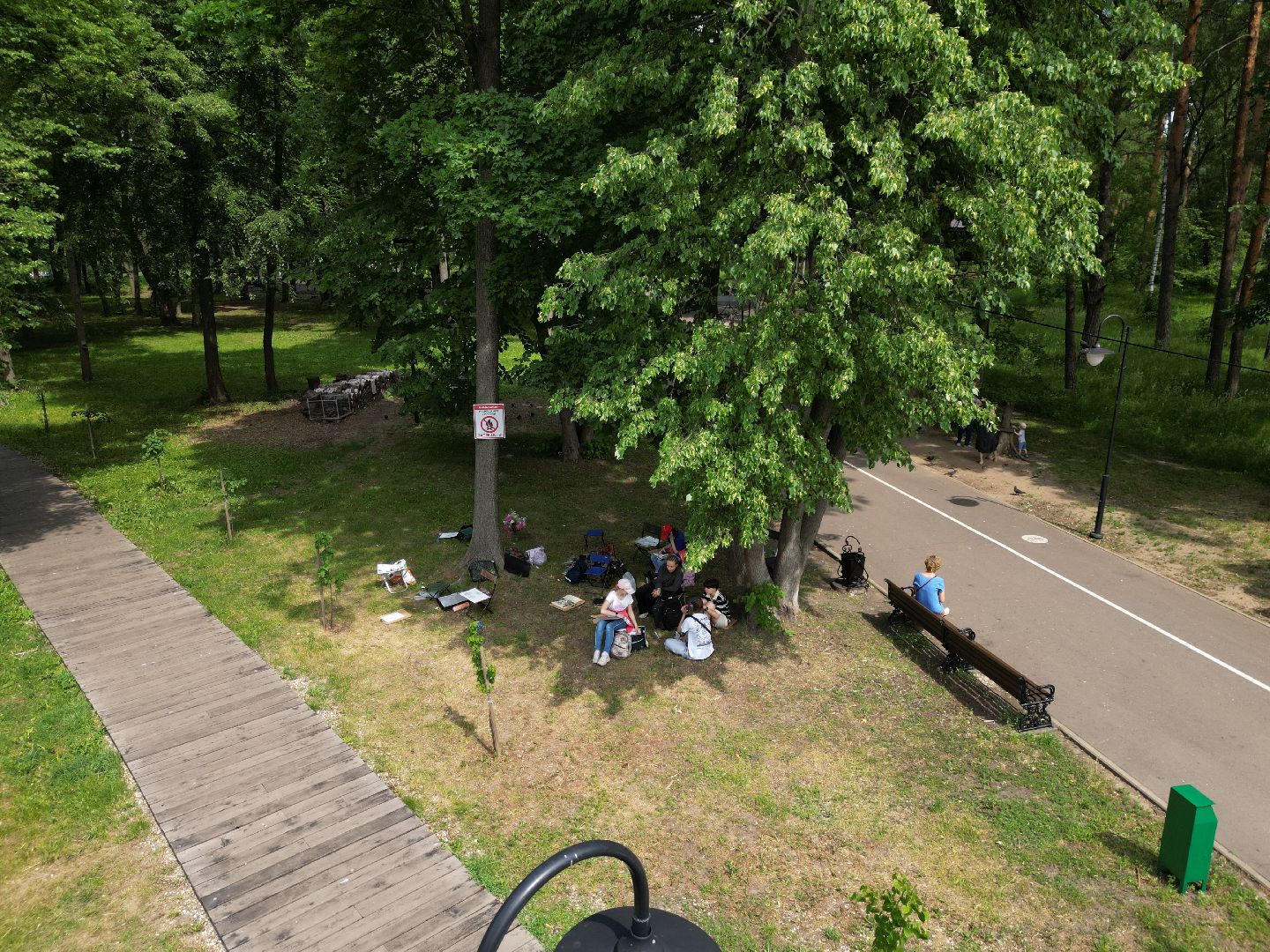 видео с коптера, парк,