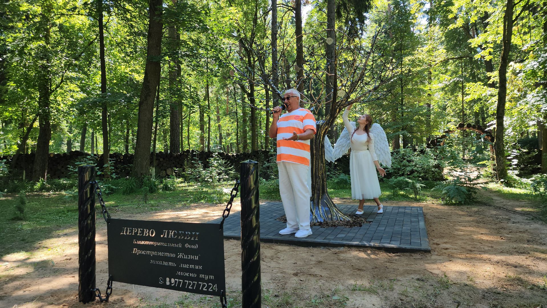 экологический проект, Дерево любви, парк Волхонка, Ногинск, Богородский городской округ,