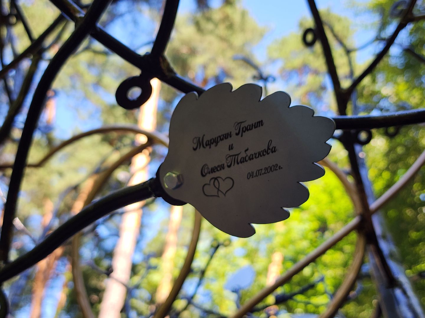 экологический проект, Дерево любви, парк Волхонка, Ногинск, Богородский городской округ,