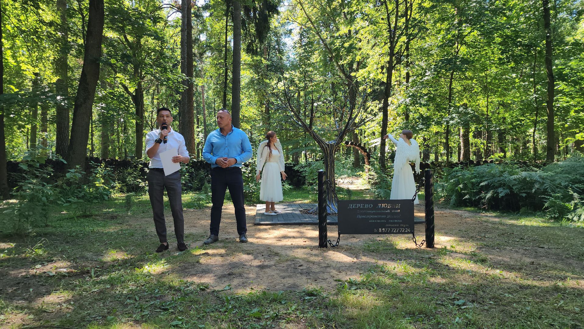 экологический проект, Дерево любви, парк Волхонка, Ногинск, Богородский городской округ,