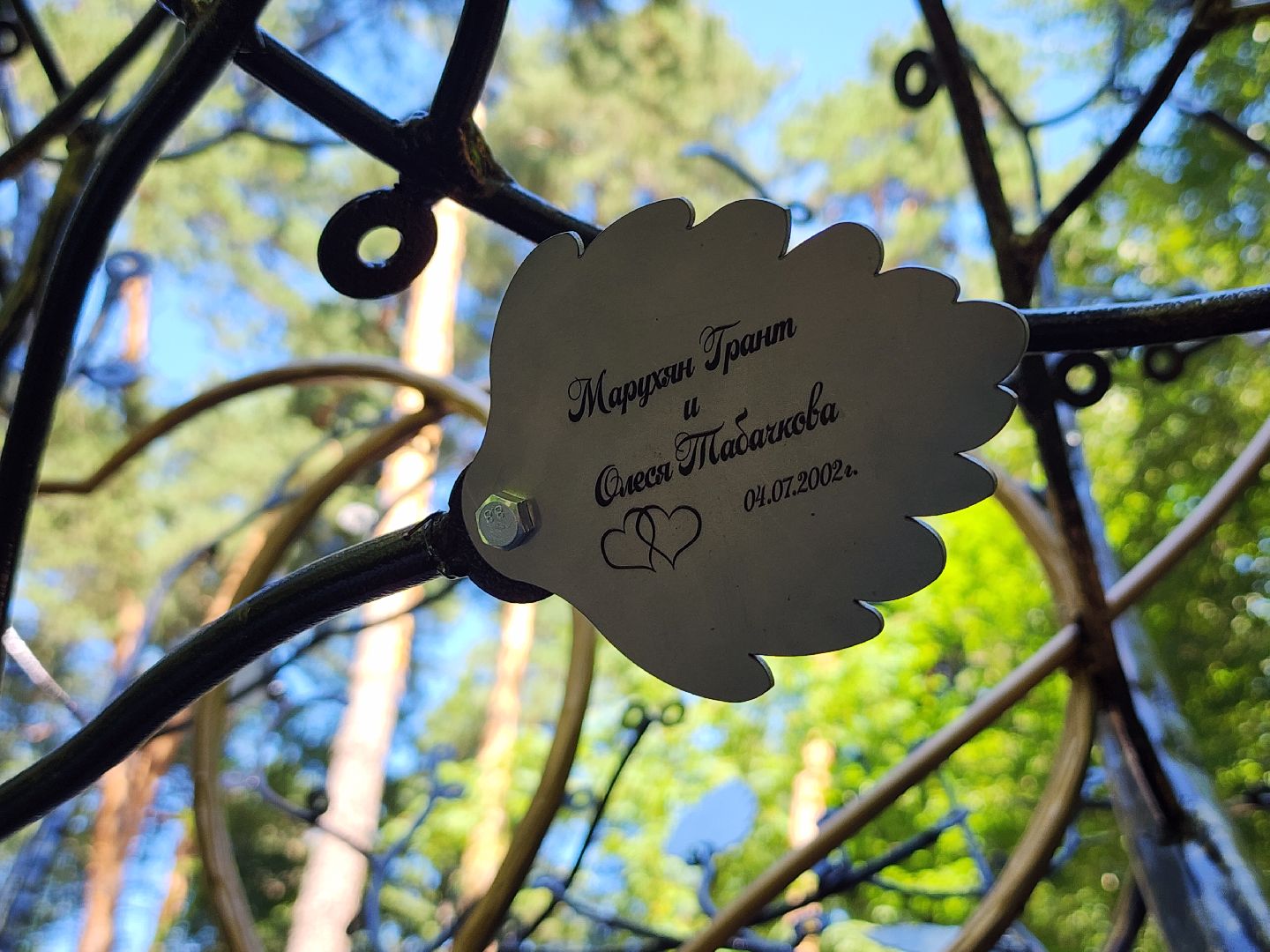 экологический проект, Дерево любви, парк Волхонка, Ногинск, Богородский городской округ,