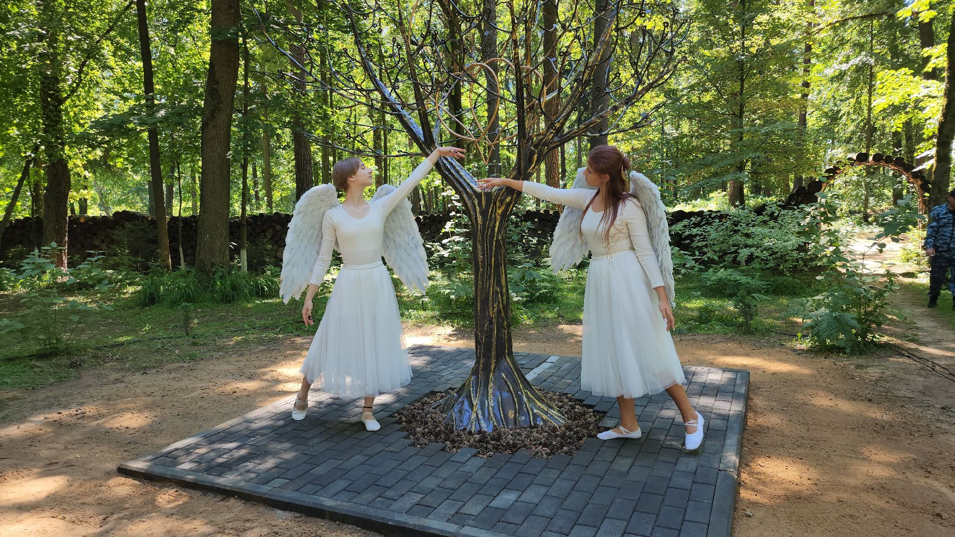 экологический проект, Дерево любви, парк Волхонка, Ногинск, Богородский городской округ,