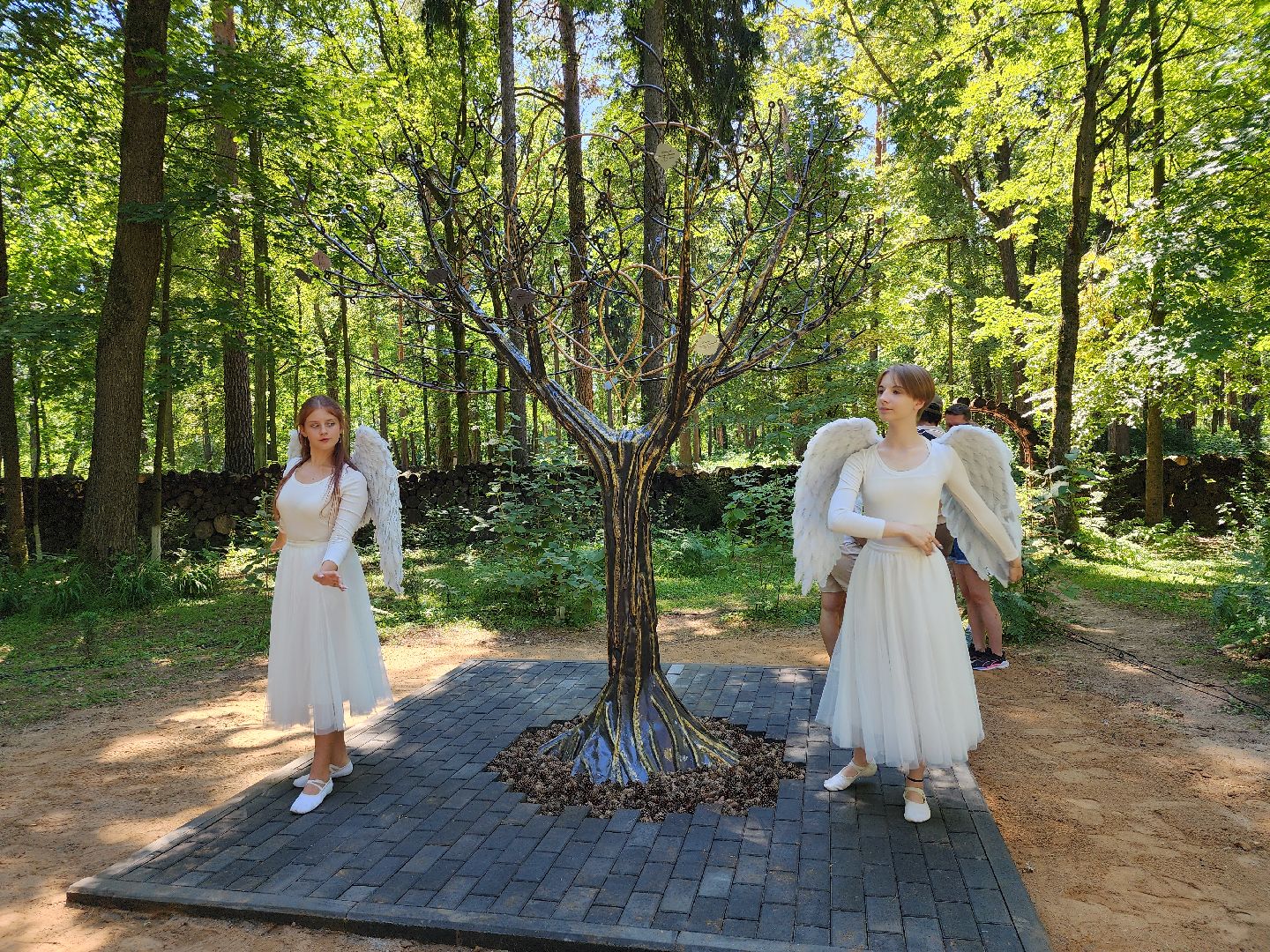 экологический проект, Дерево любви, парк Волхонка, Ногинск, Богородский городской округ,