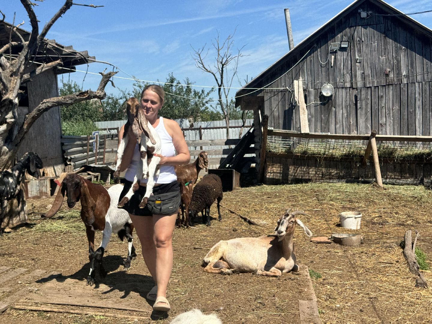 шаховская, агротуризм, сельское хозяйство,