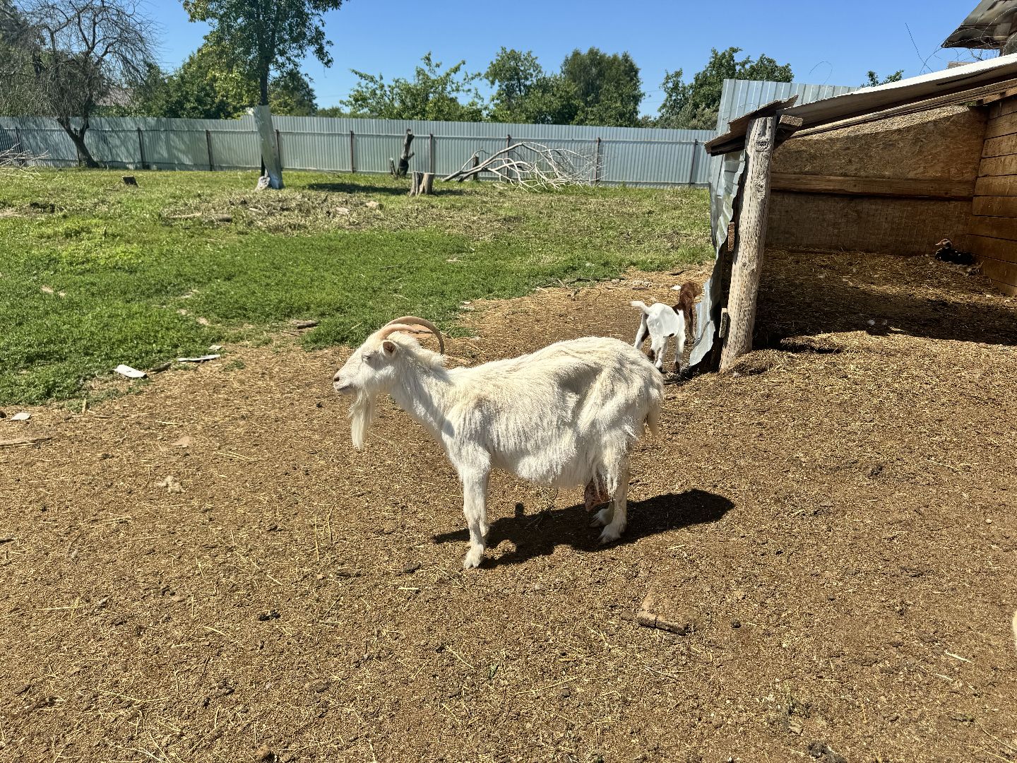 шаховская, агротуризм, сельское хозяйство,